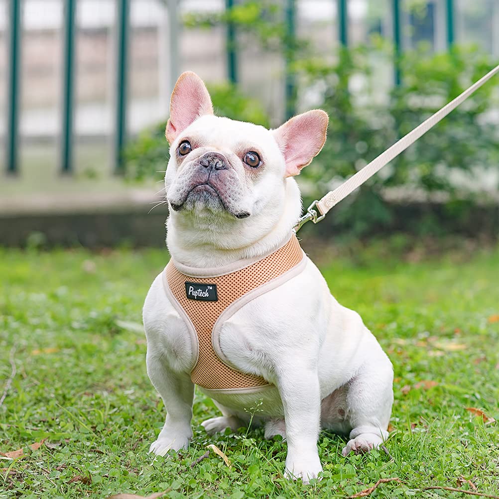 Pupteck Soft Mesh Dog Harness And Leash Set Pet Puppy Cat Comfort Padded Vest No Pull Harnesses, Solid Beige, S