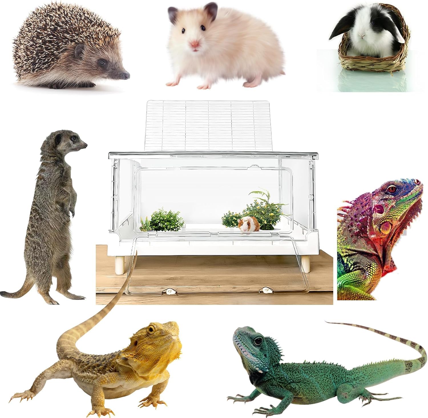 Hamster Cage & Guinea Pig Cages, Acrylic Cage For Small Animal Pets, Large Transparent Gerbil Cage And Habitats, Hedgehog, Dwarf