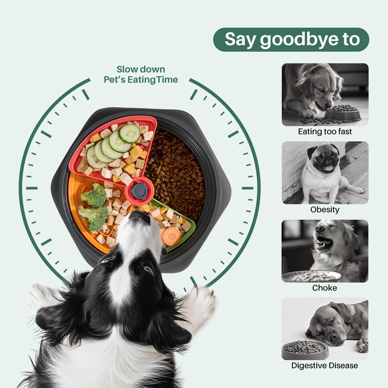 Gardner Pet Adjustable Slow Feeder Bowl For Medium/Large Dogs - 9.85'' L Size With Suction Base, Detachable Puzzle Insert & Free