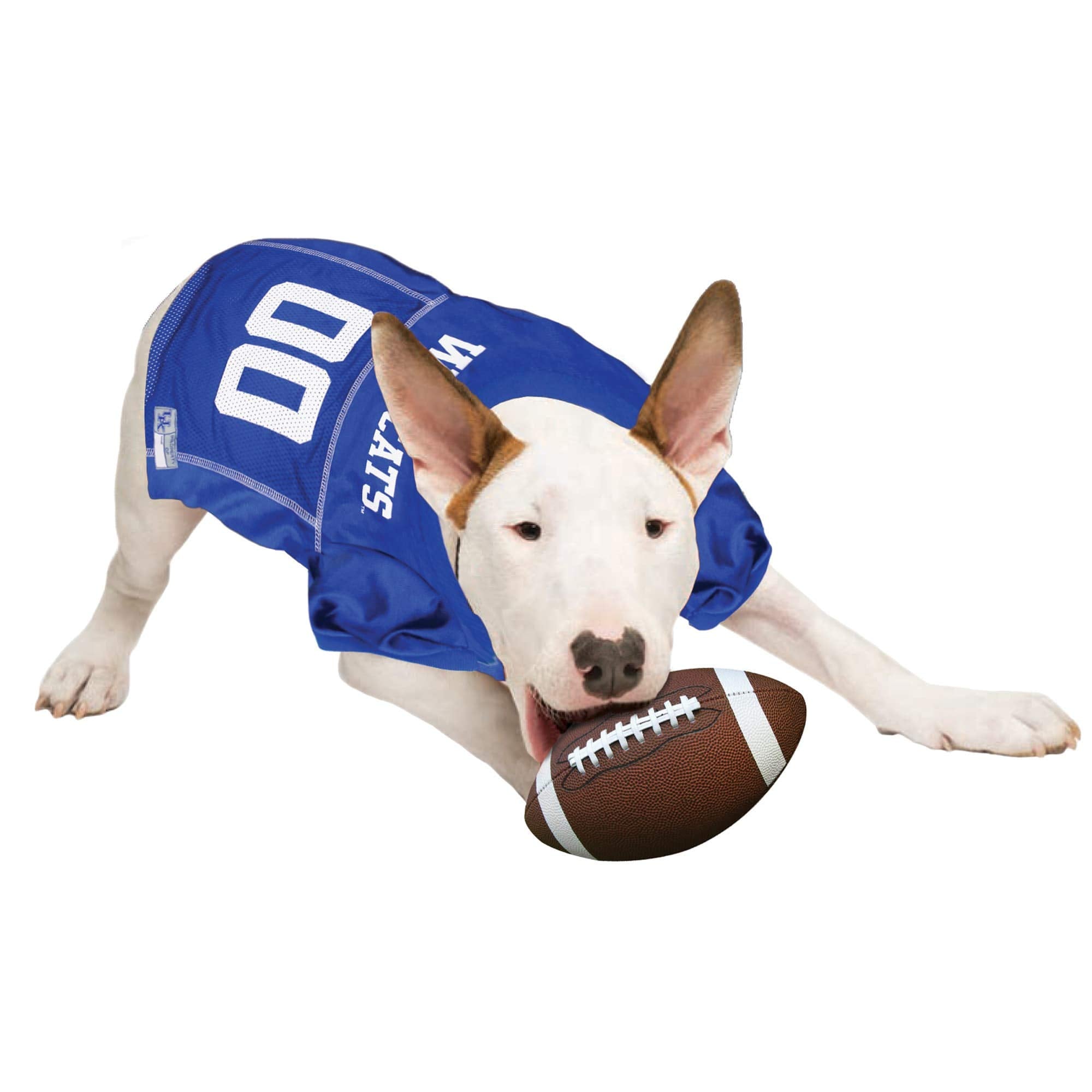 Pets First NCAA College Kentucky Wildcats Mesh Jersey for Dogs & Cats, XX-Large. Licensed Dog Jersey with Your Favorite Football