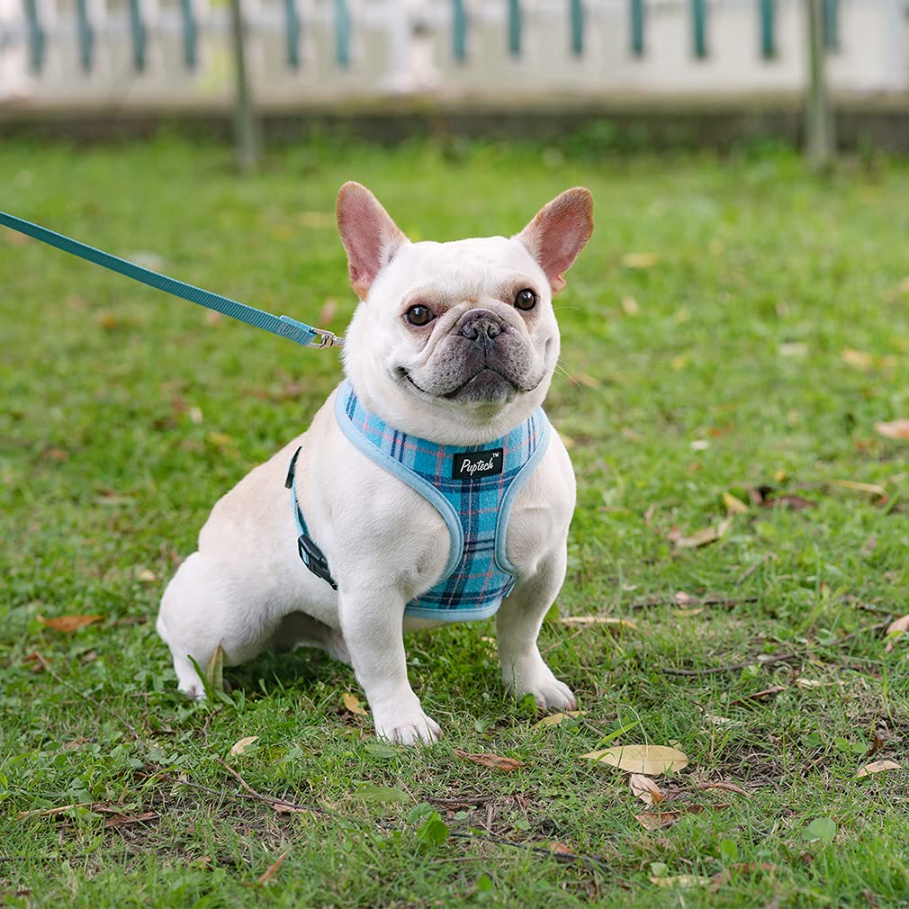 Pupteck Soft Mesh Dog Harness And Leash Set Pet Puppy Cat Comfort Padded Vest No Pull Harnesses, Light Blue, Xs