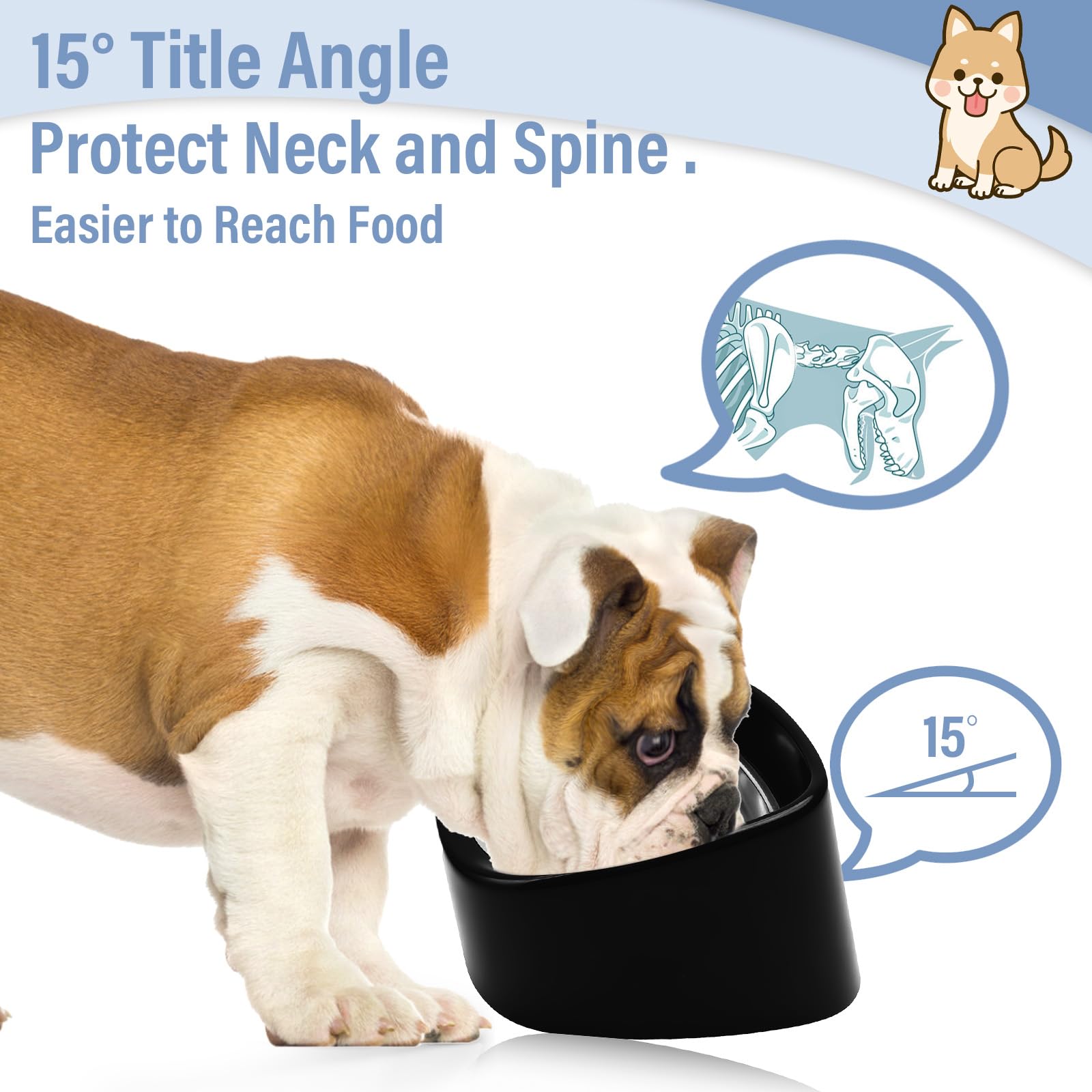 15 Elevated Pet Bowl For Small And Medium Dogs & Cats, Anti-Vomiting Tilted Stainless Steel Feeder, Easy To Clean And Non-Slip D