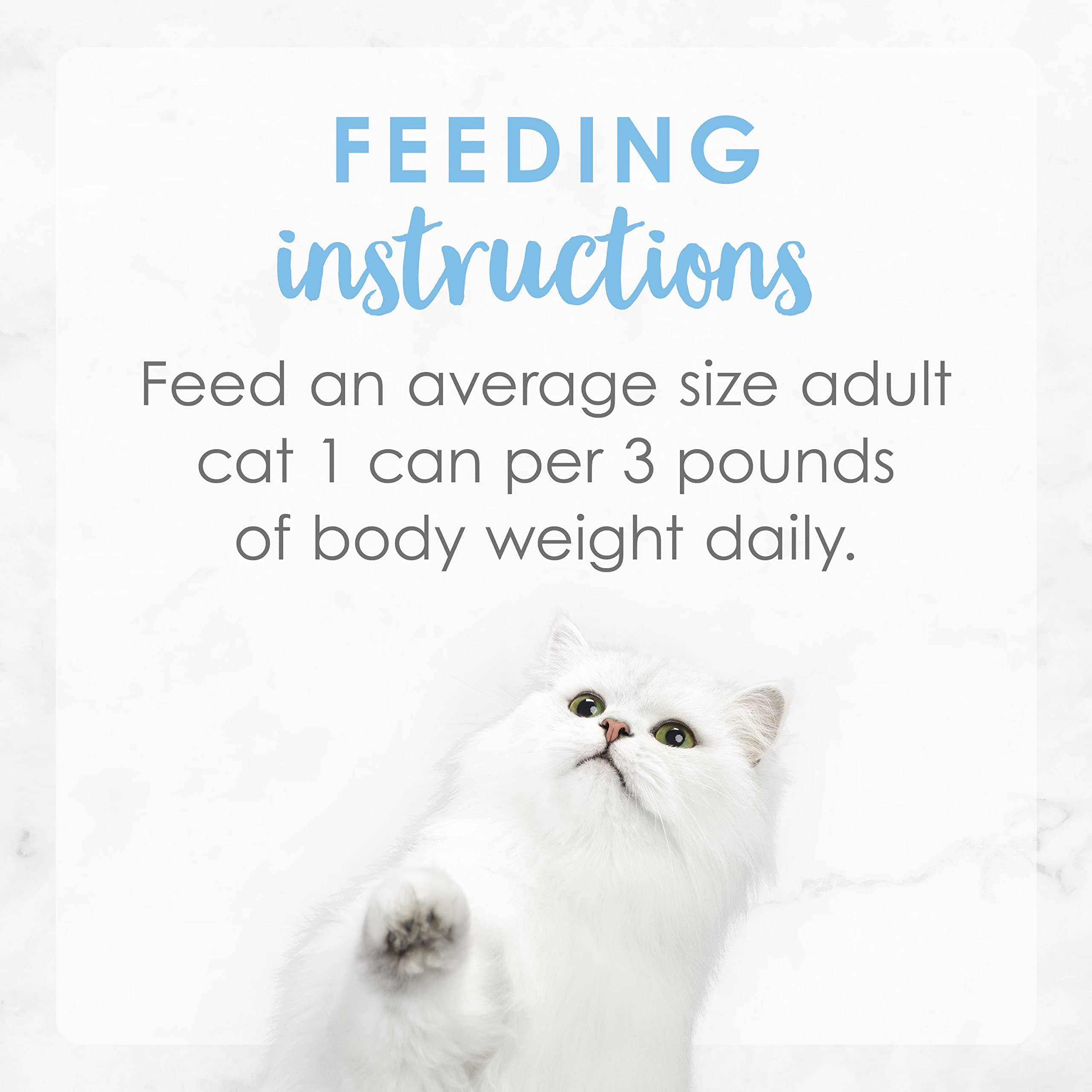 Fancy Feast Purina Pate Wet Cat Food, Creamy Delights Chicken Feast with a Touch of Real Milk - 3 oz. Can (Pack of 12)