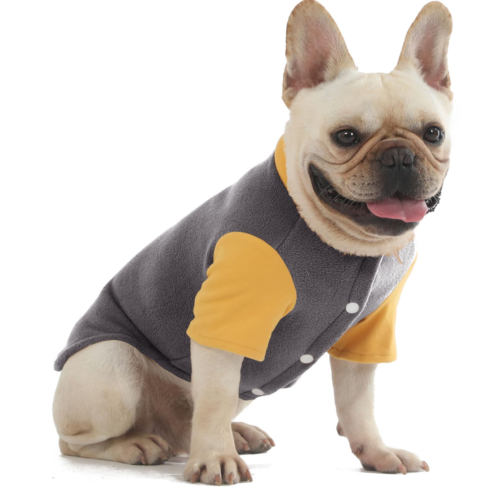 Sweater Clothes For Small Medium Dogs Boy And Girl Jacket Winter Coat With O-Ring Leash Stretchy Warm Sweatshirt Cat Puppy Appar