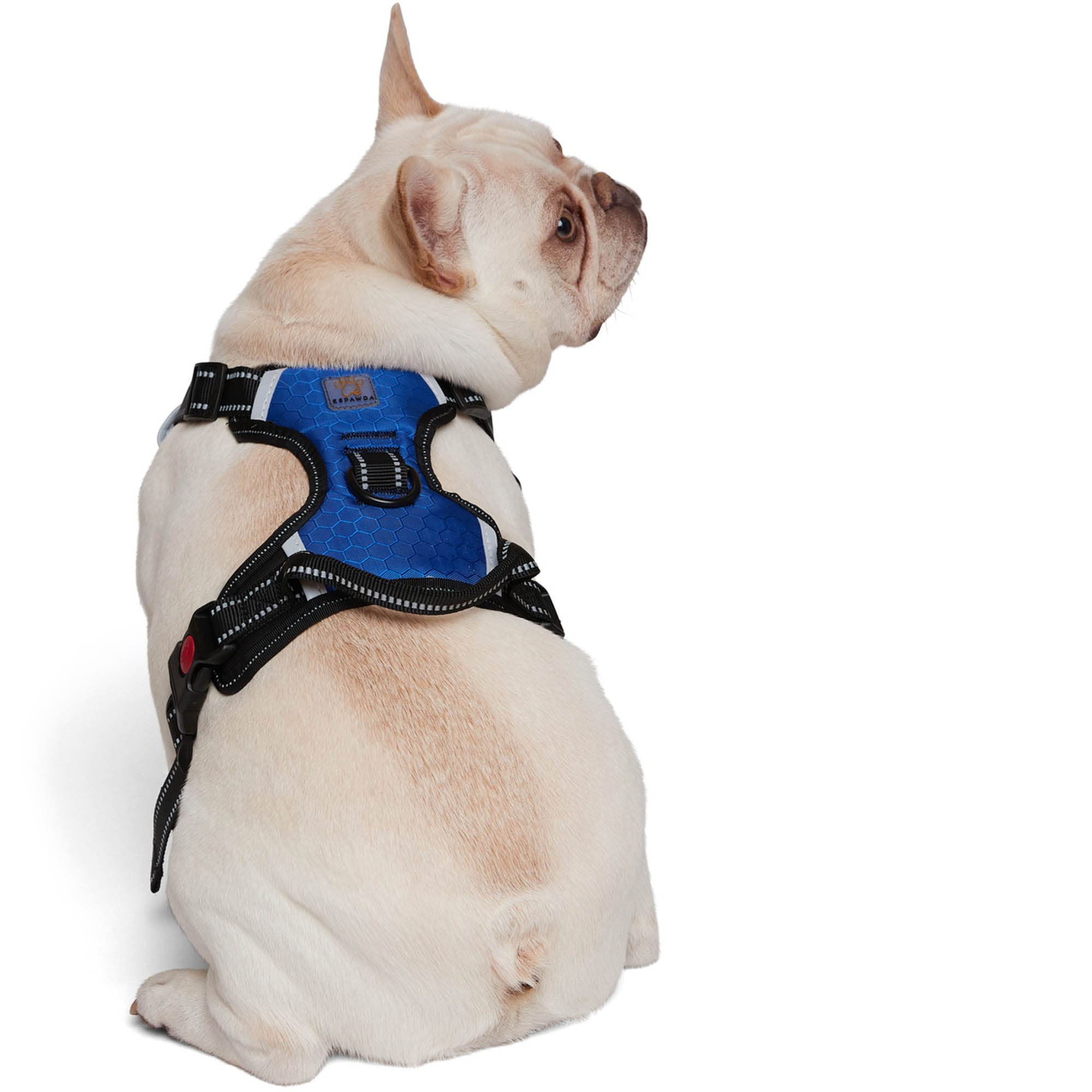 Espawda Padded Comfort Harness With No Pull Design For Small Dogs, Medium Dogs And Big Dogs (X-Large, Capri Blue)