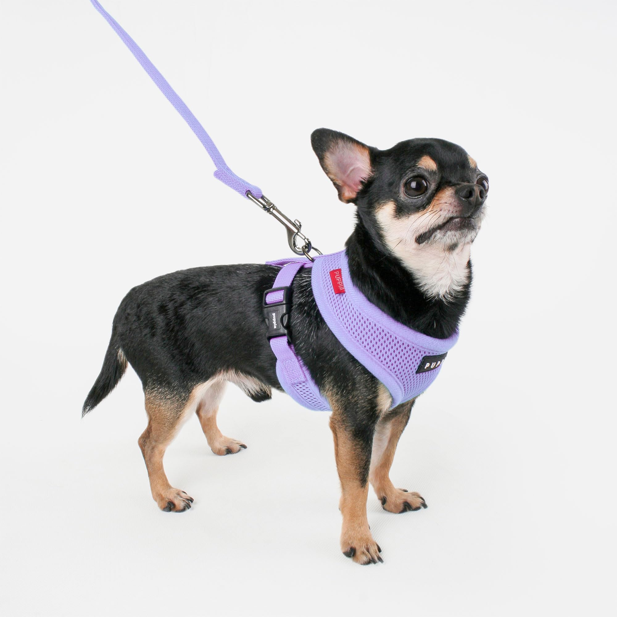 Puppia Soft Dog Harness No Choke Over-The-Head Triple Layered Breathable Mesh Adjustable Chest Belt And Quick-Release Buckle, Vi