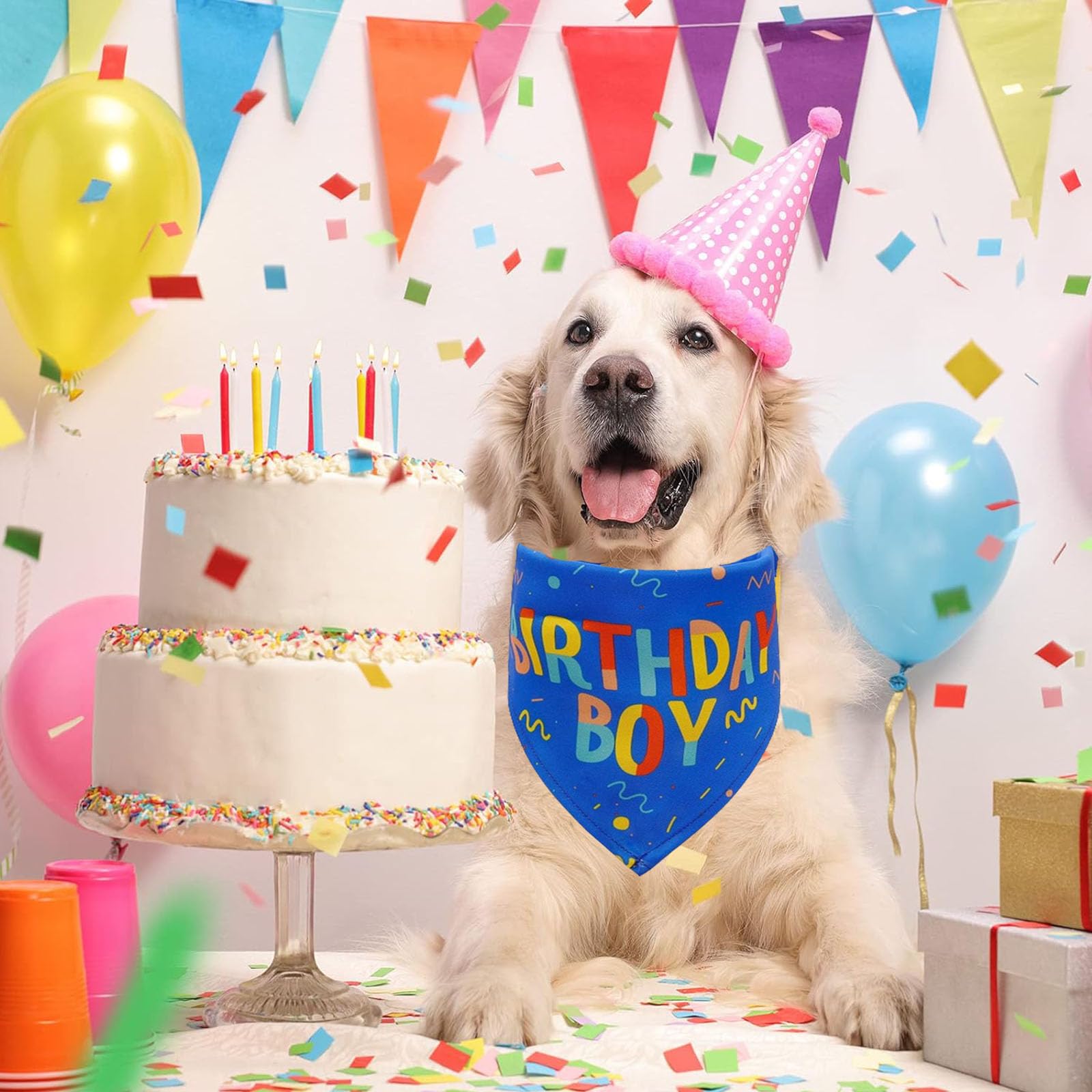 Birthday Boy Dog Bandana, Printed Dog Bandana Pet Scarf Dog Birthday Party Supplies For Dogs Pet Accessories For Dog Lovers Reve