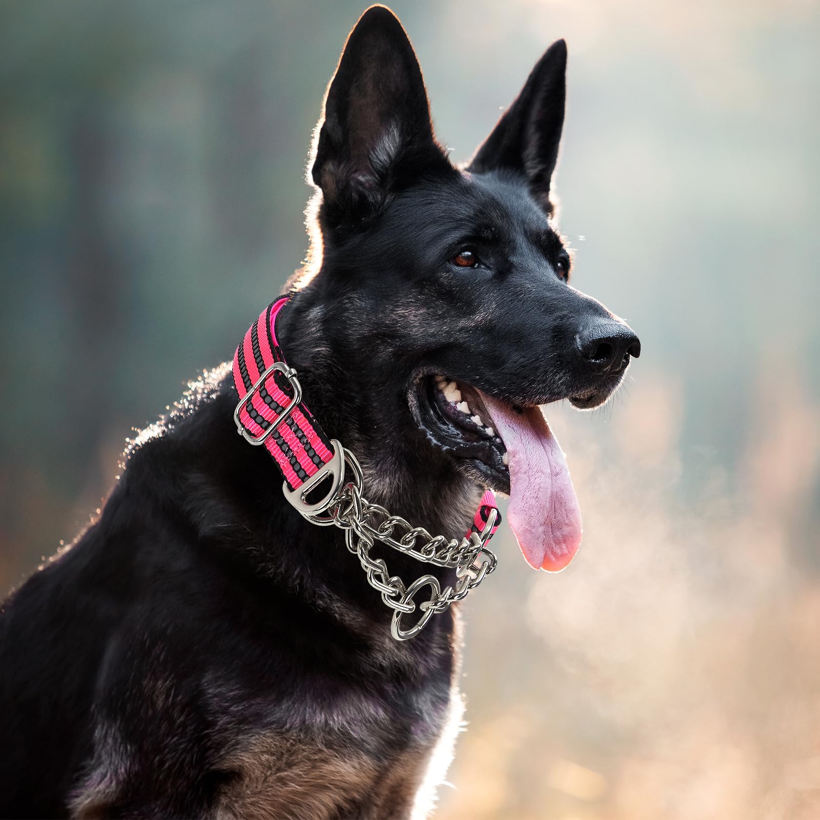 Martingale Collar For Medium Dogs,Pink Reflective Collar With Night Safety Design For Large/Medium Xl Xxl Female Dogs Secure Pet