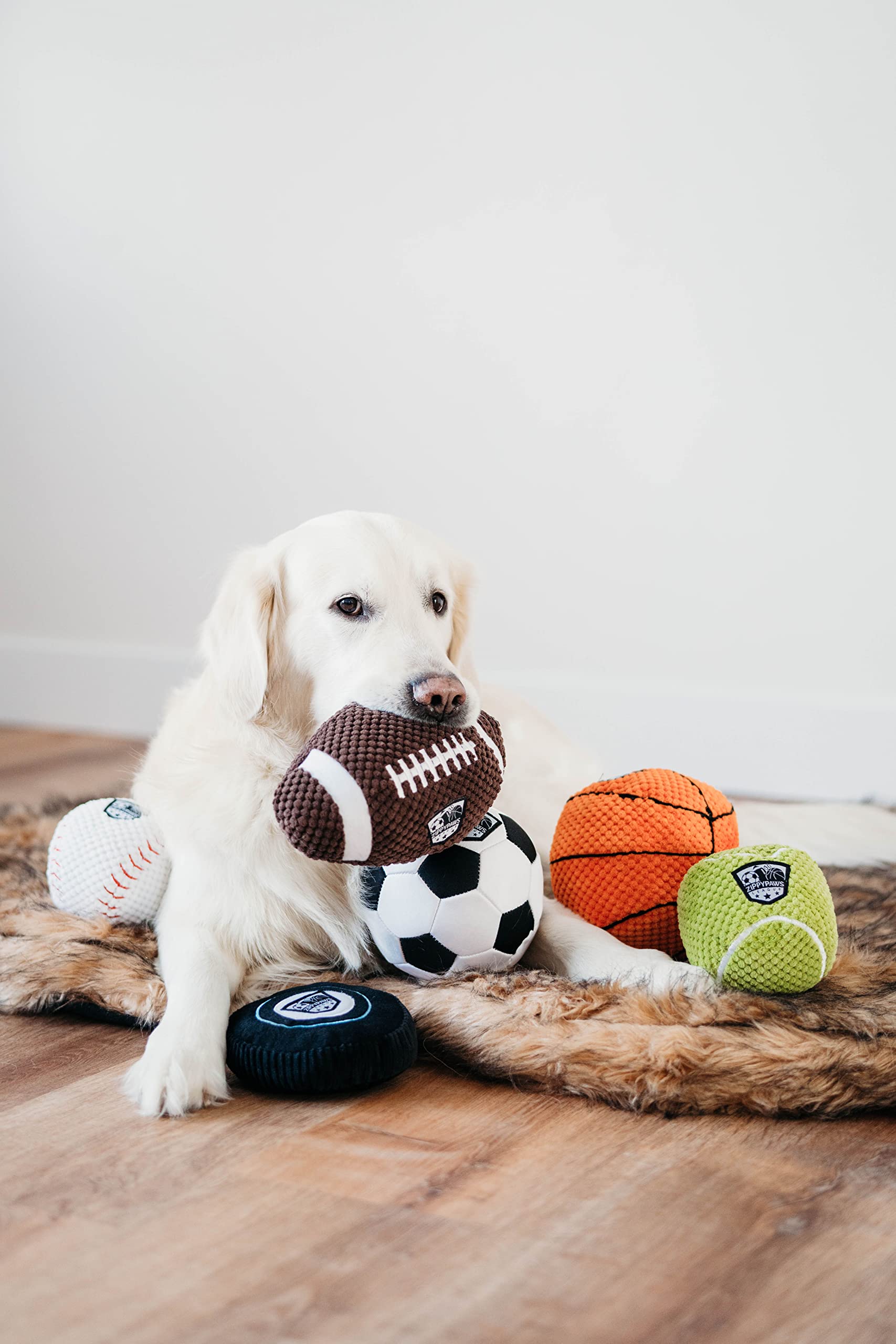 ZippyPaws SportsBallz - Plush Football Dog Toy, Soft Squeaky Balls for Dogs, Indoor & Outdoor Puppy Fetch Toys for Small, Medium