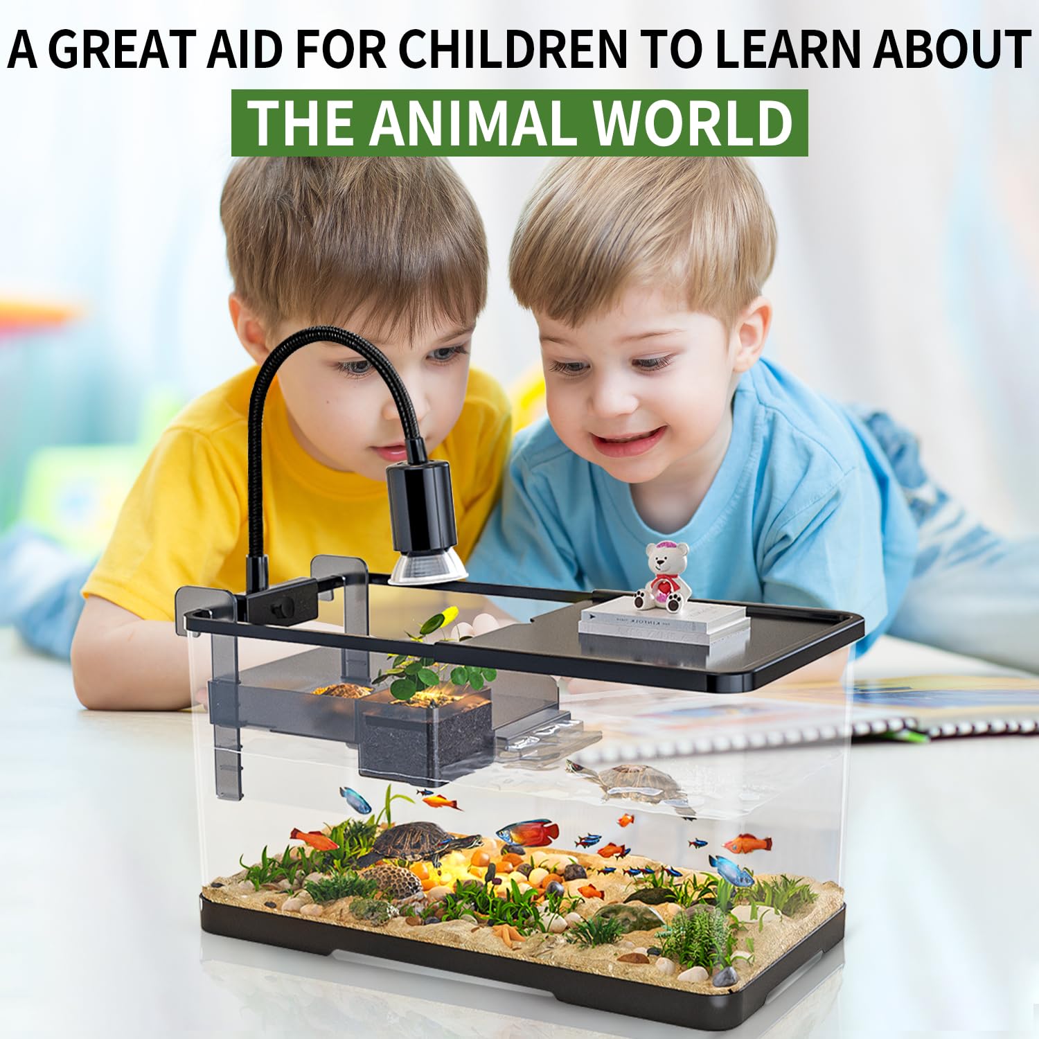 (Tank + Light + Filter Balls) Turtle Tank Kit, Turtle Tank Starter Kit,Bottom Drainage, Multi-Function Areas For Turtles, Crabs,