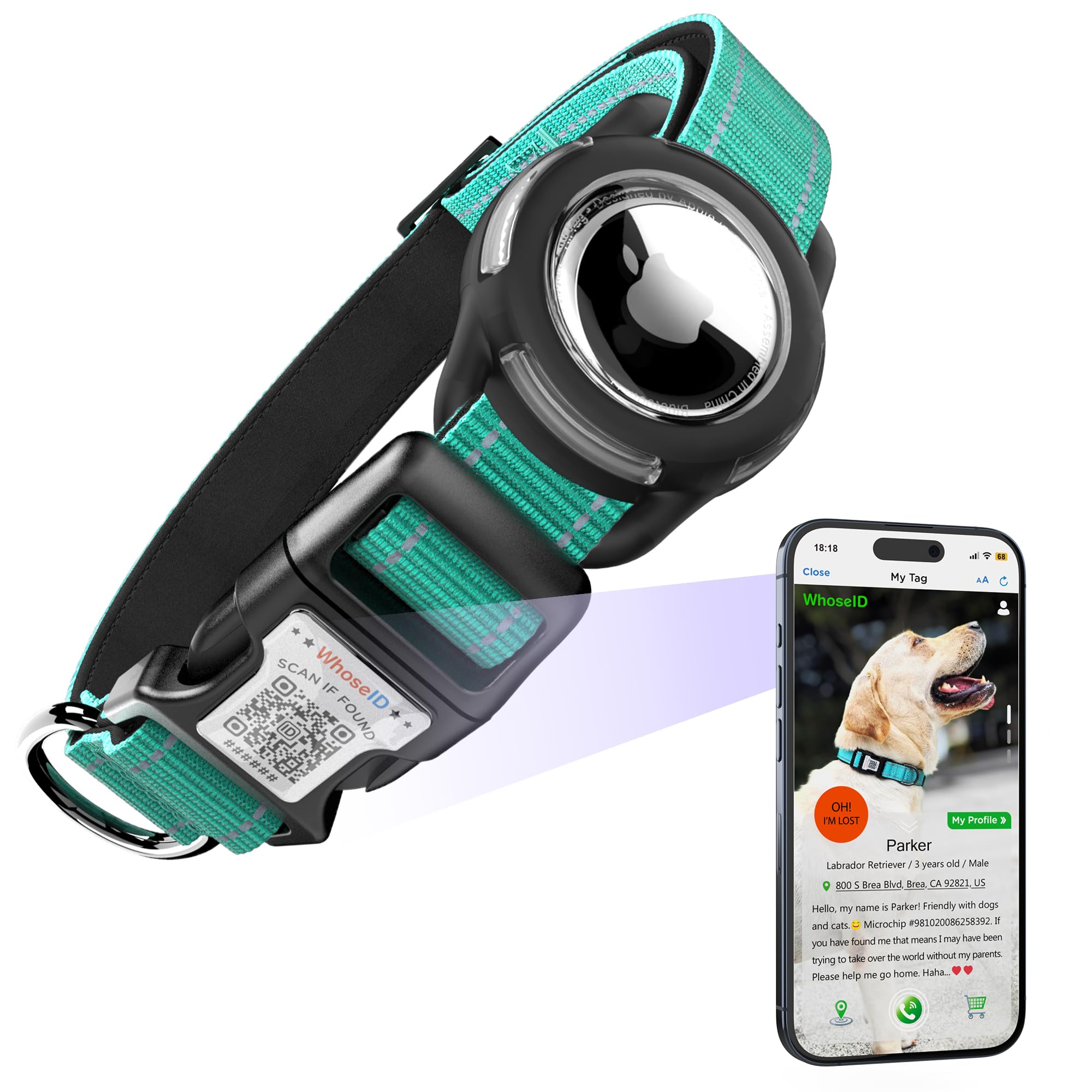 Airtag Dog Collar With Qr Code, Reflective And Soft Padded, Safety Locking Buckle, Adjustable For Small Dogs (S-With Airtag Hold