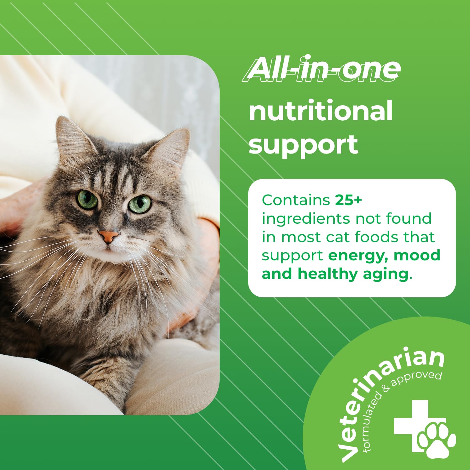 VetriScience Nu Cat Senior Multivitamin with Lysine for Cats - 30 Chews - Cat Supplements & Vitamins Designed to Support Heart,