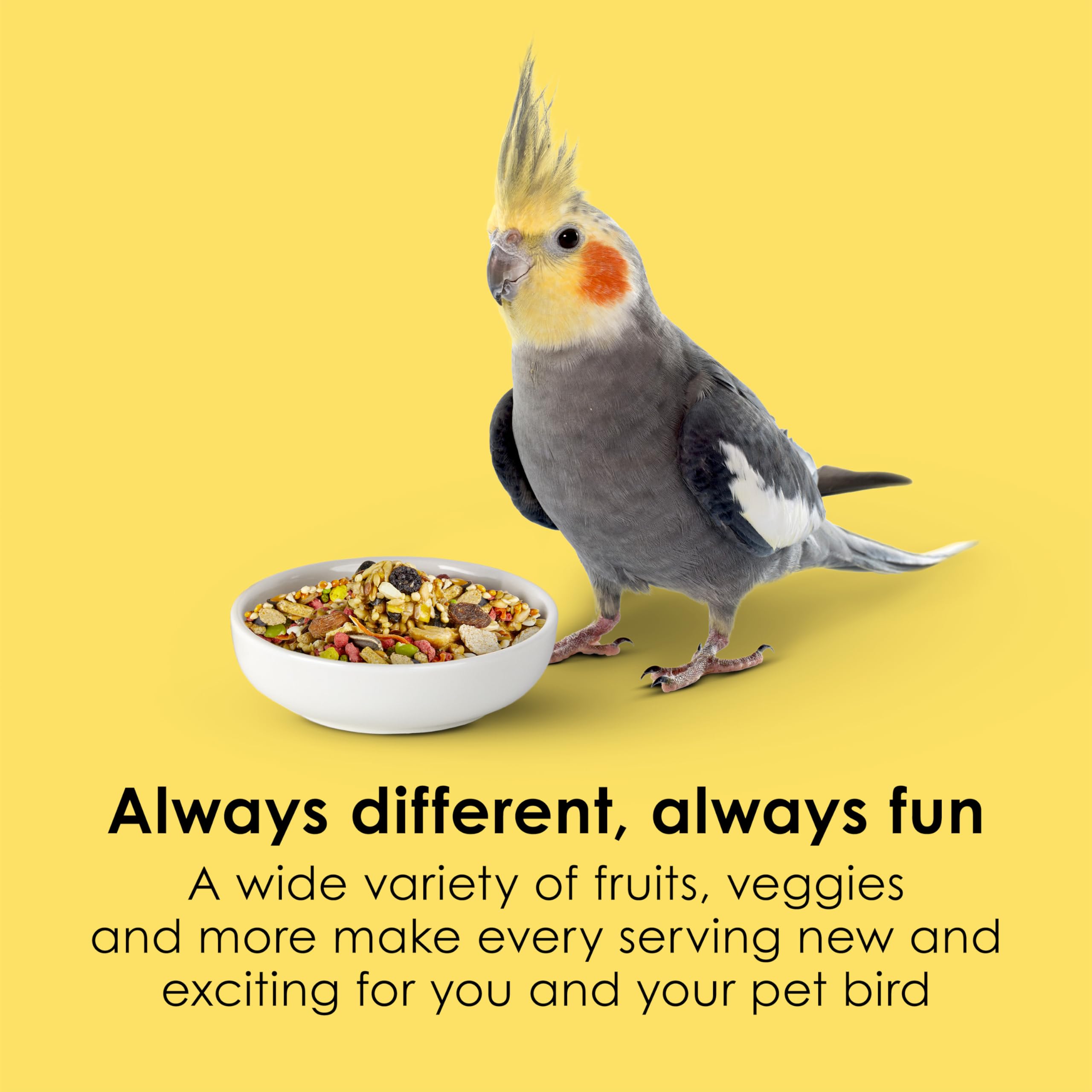 Kaytee Fiesta Cockatiel Food 25 lb