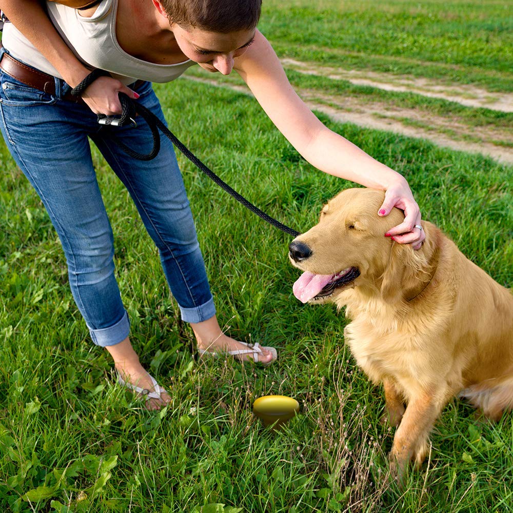 Simple Solution Pee Post Outdoor Potty Training Aid - Pheromone-Infused Yard Stake With Go Here™ Technology - 13 Inch Stake