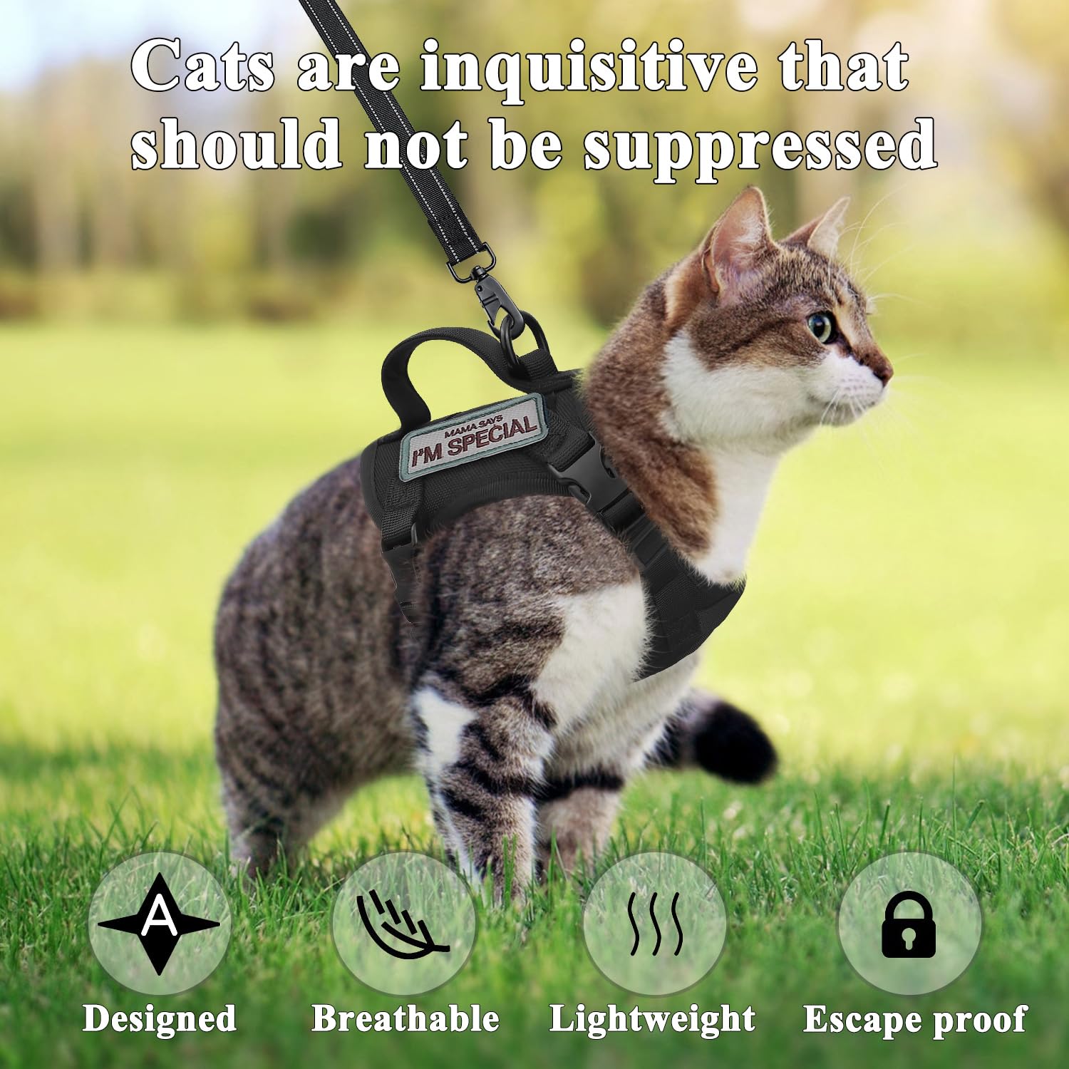 Tactical Cat Harness For Walking Escape Proof, Soft Mesh Adjustable Pet Vest Harness For Large Cat, Small Dog And Khaki (Black,