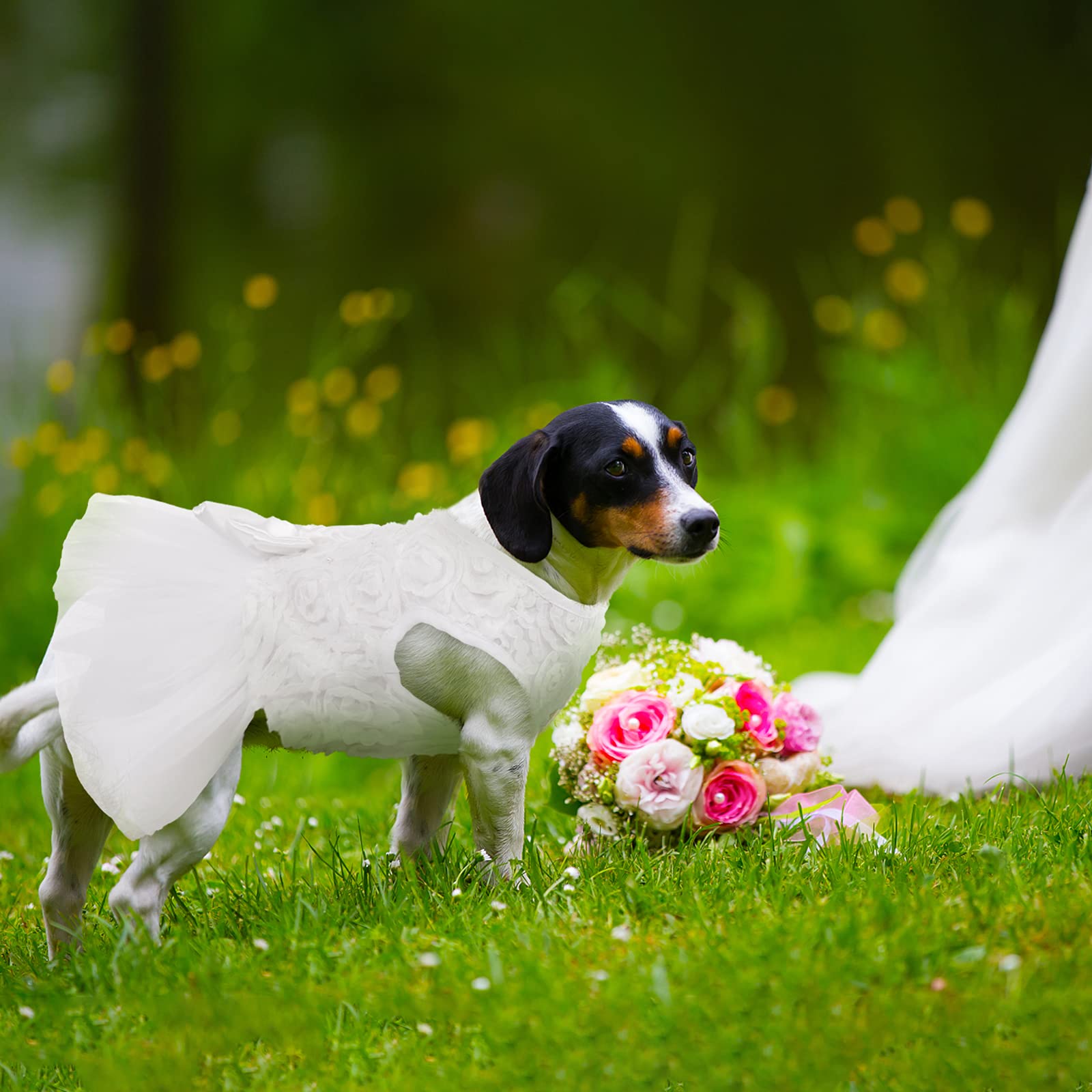 Qbleev Dog Dress, Dog Wedding Dress For Small Dogs Bowknot Dog White Dress Dog Wedding Attire Pet Dog Bride Costume Lace Tutu Skirt Halloween Dog Princess Dress Party Puppy Apparel Dog Formal Dress Xs