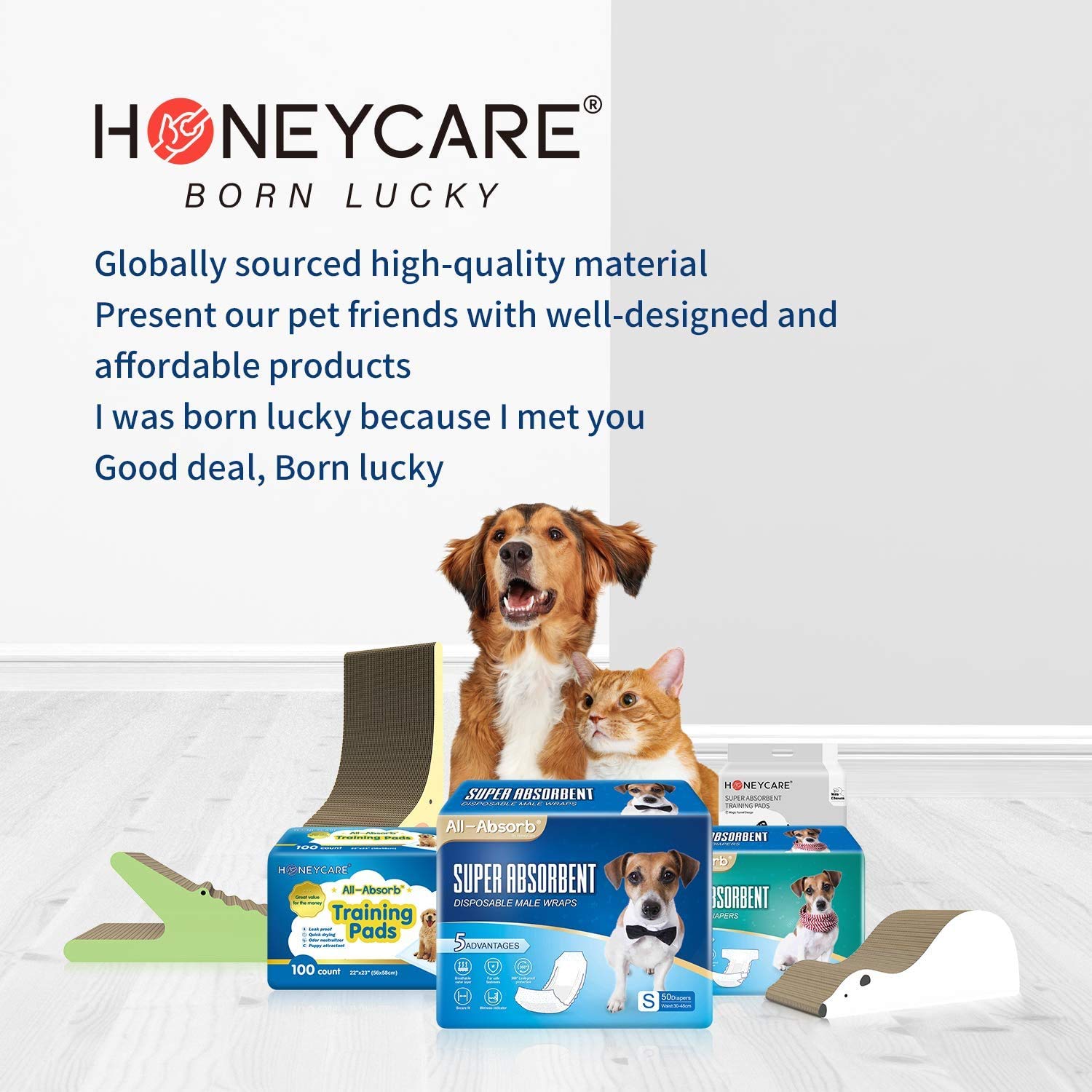 Honey Care All-Absorb Puppy Training Pads | Doggie Potty Pads Absorb Eliminating Urine Odor, Ultra Charcoal Dog Pee Pad (Carbon, L 22X23 Inch, 100Ct)