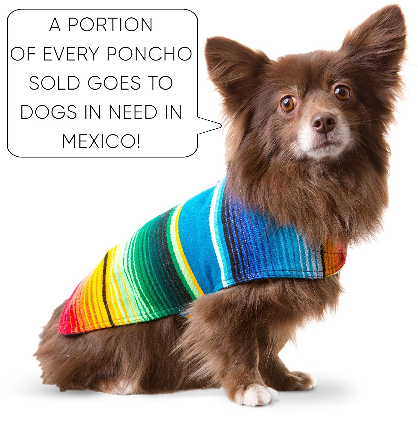 Dog Clothes - Handmade Dog Poncho from Authentic Mexican Blanket by Baja Ponchos (Blue, X-Large)