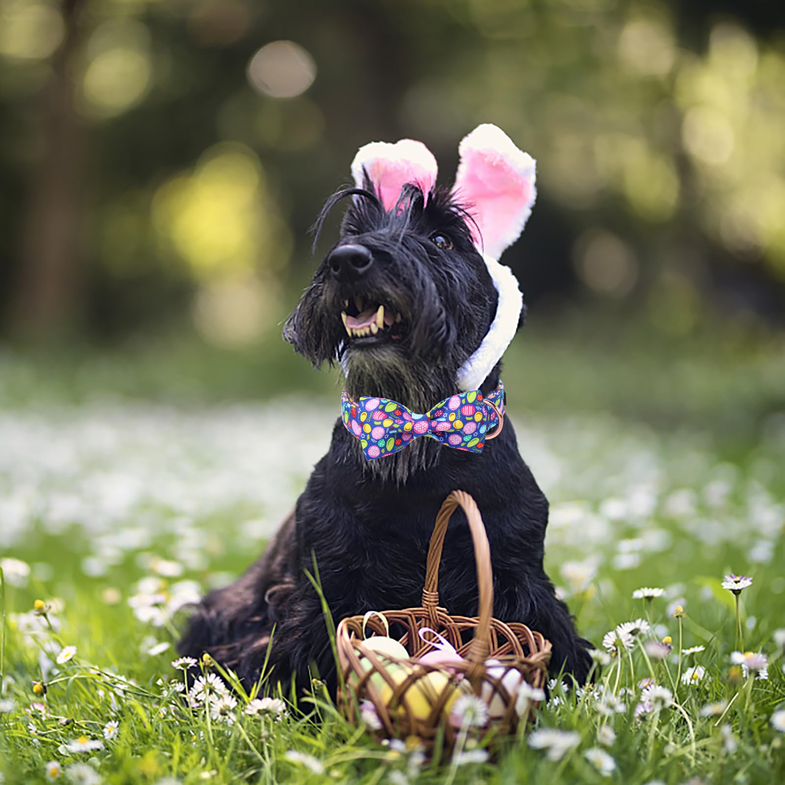 Unique Style Paws Easter Dog Collar With Bow Colorful Egg Rabbit Dog Collar Bowtie Collar For Large Medium Small Dogs
