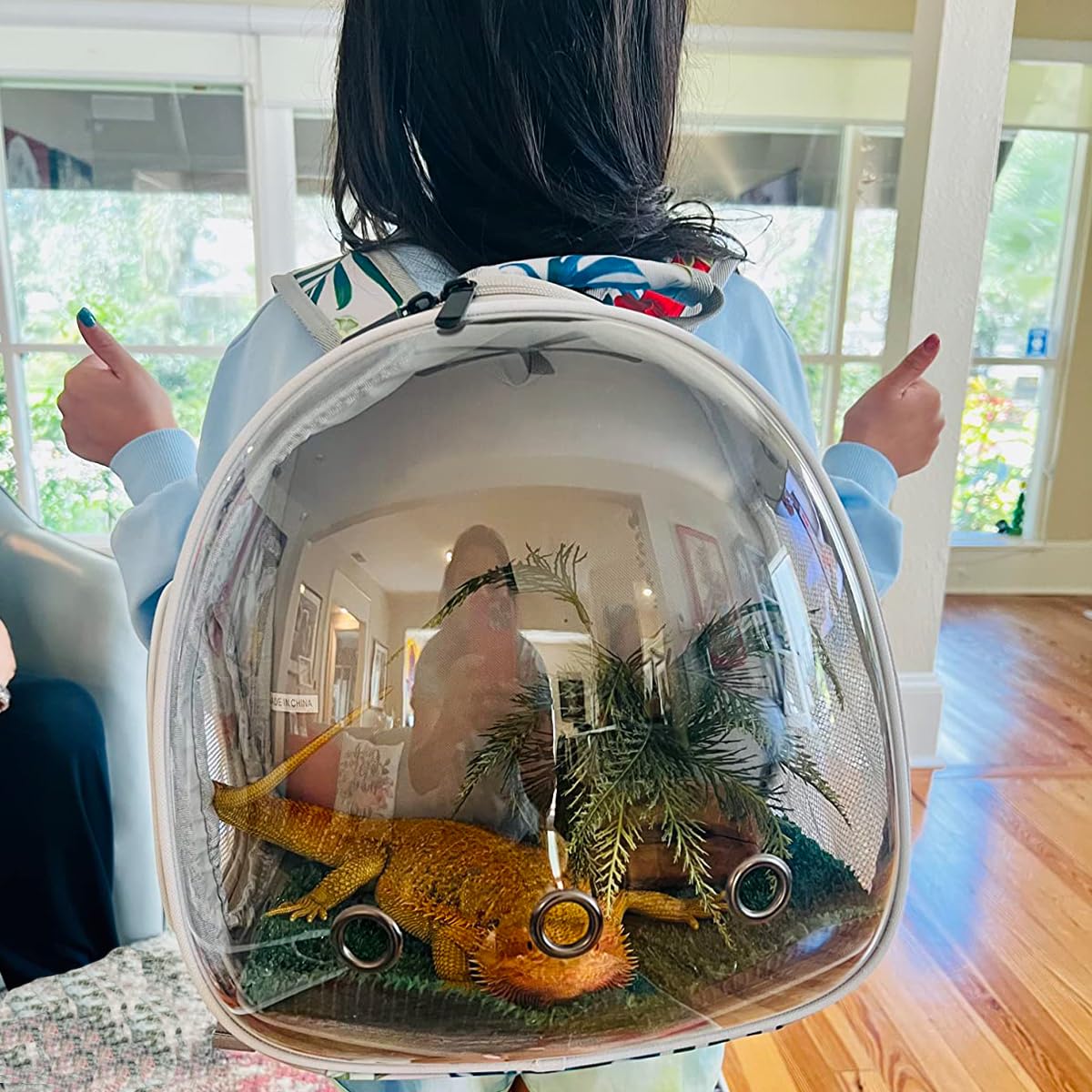 Hamster Backpack Carrier,Bearded Dragon Carrier Backpack For Kids With Clear Bubble Window,Small Animal Travel Backpack For Guin