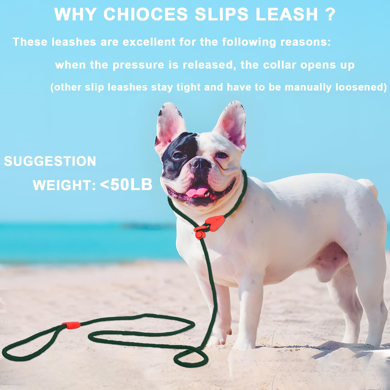 Slip Lead For Dogs Dog Leash Dog Leash For Small Medium Dogs Puppy Leash 6Ft 6 Colors Strong Nylon Dog Training Leash No Pull Ro