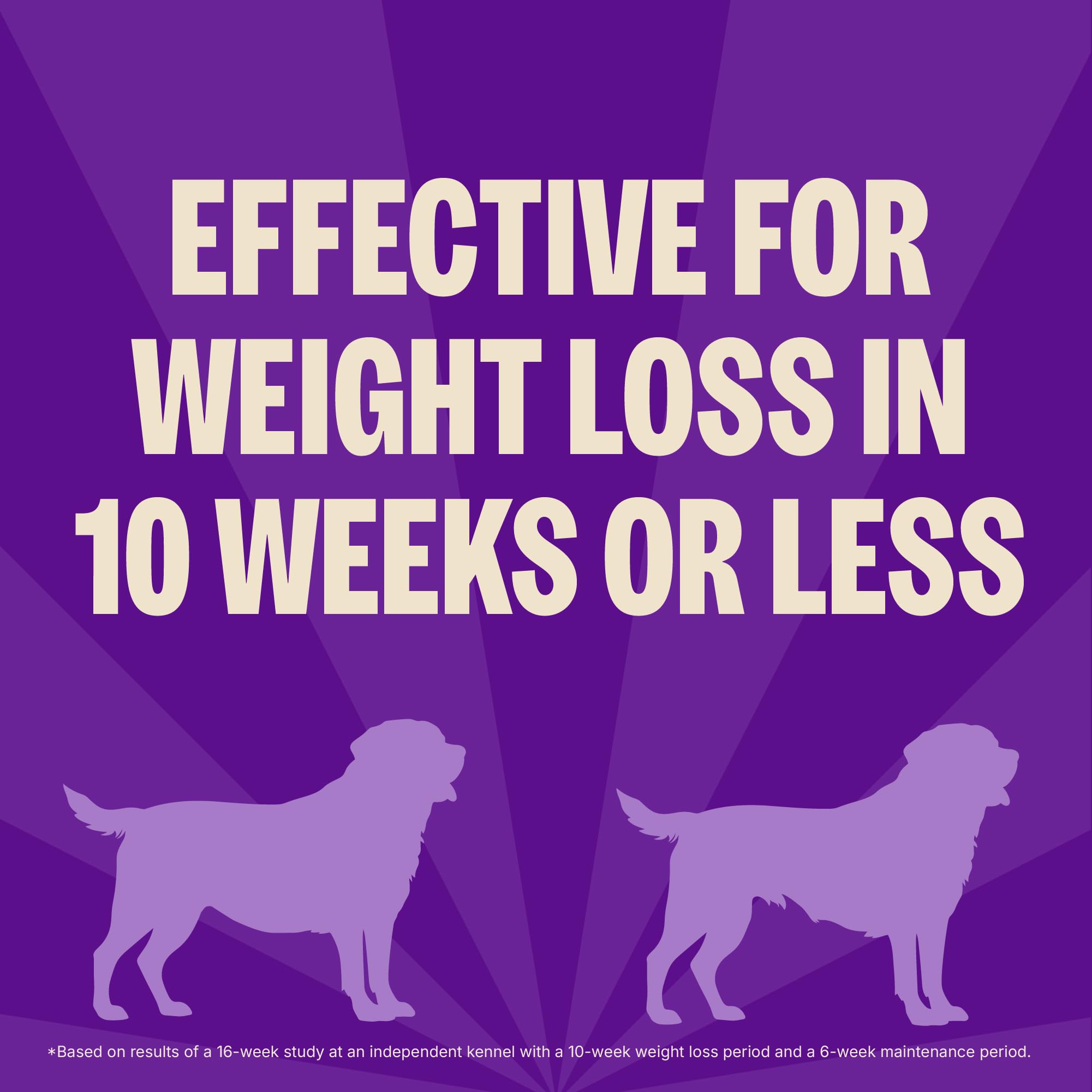Wellness CORE Grain-Free High-Protein Dry Dog Food, Natural Ingredients, Made in USA with Real Meat, All Breeds, For Adult Dogs