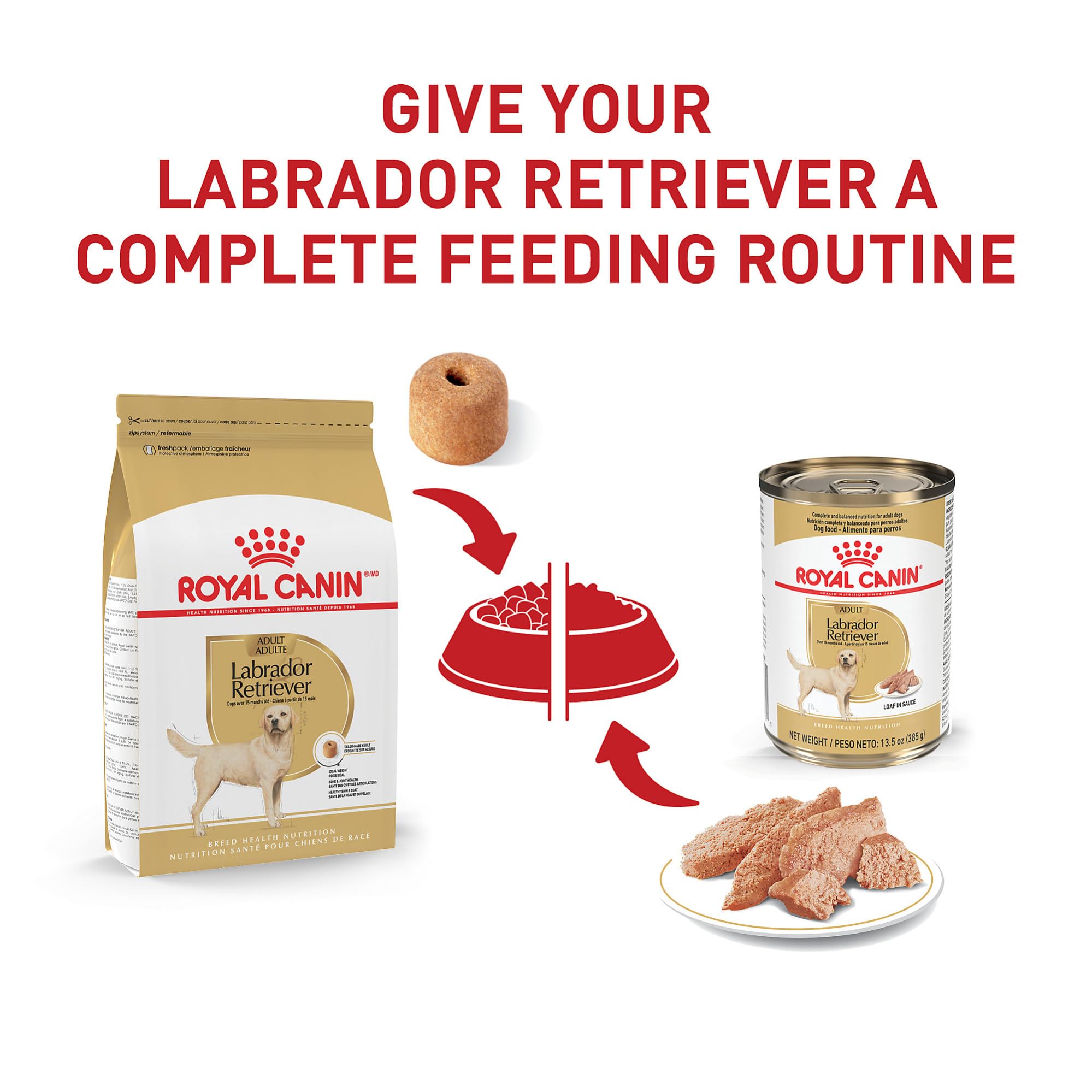 Royal Canin Breed Health Nutrition Labrador Retriever Adult Loaf in Sauce Dog Food, 13.5 oz (Pack of 12)