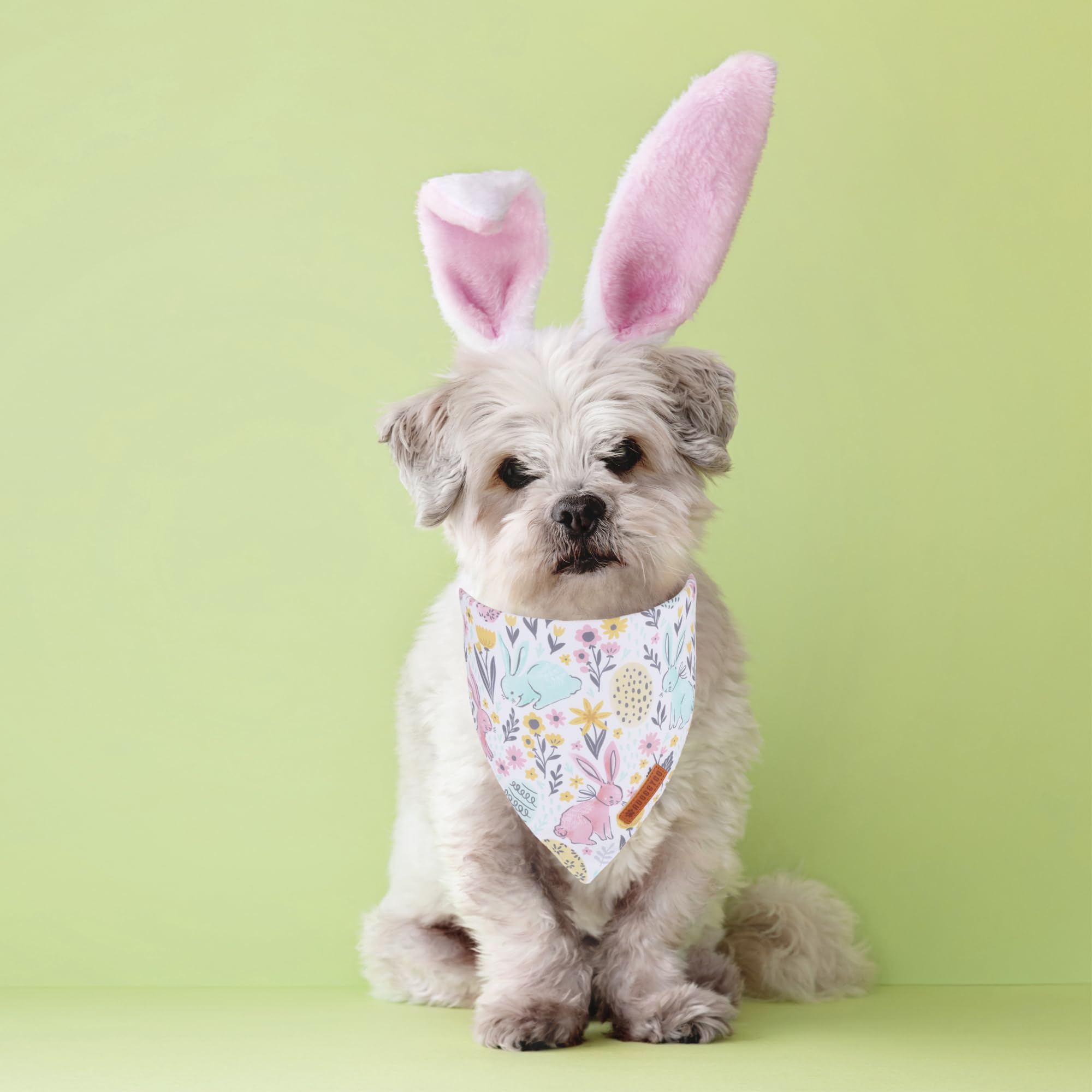 Adoggygo Easter Dog Bandana, Carrot Rabbit Pet Scarf, Premium Durable Fabric, Easter Bandanas For Small Dogs Pets (Small)
