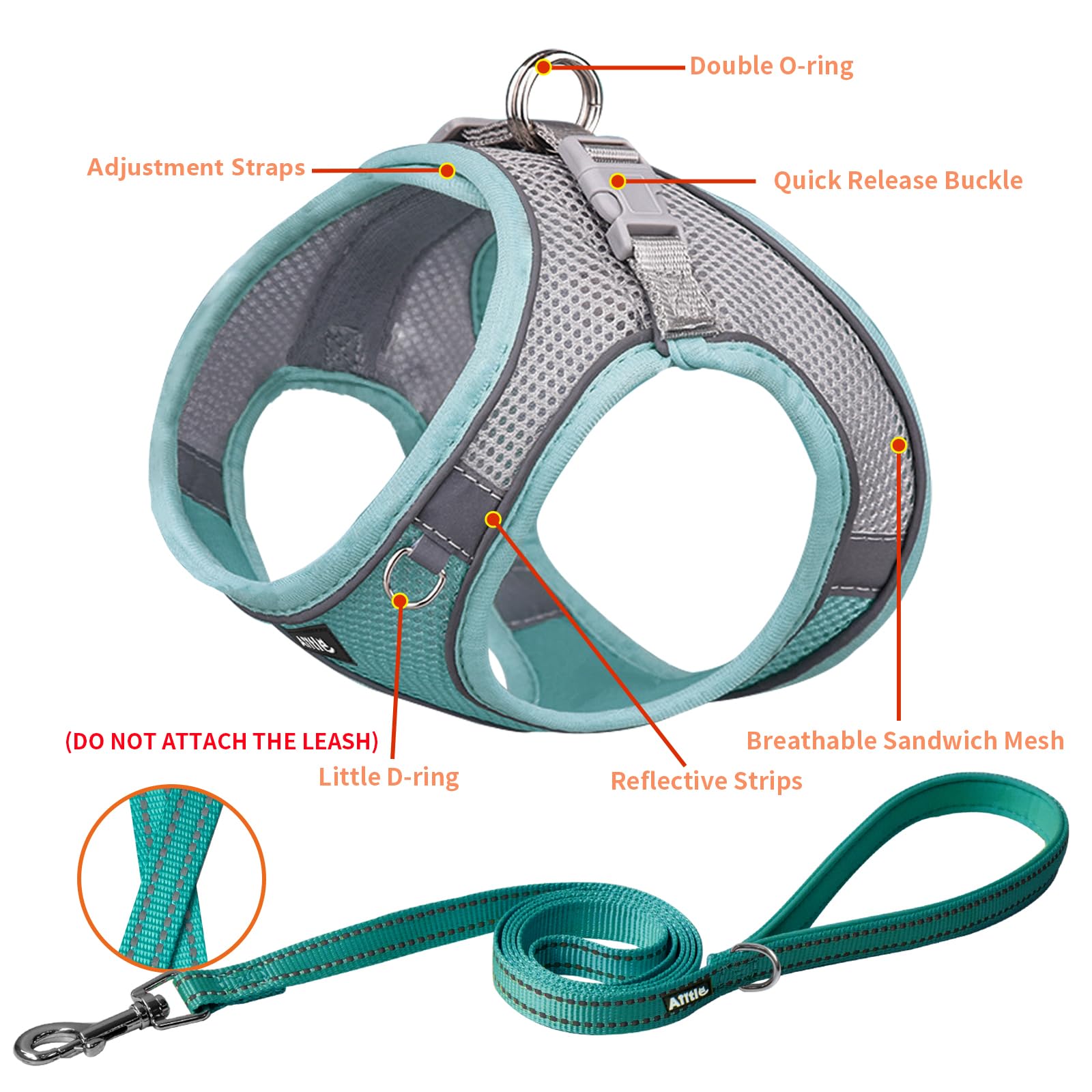 Aiitle Easy Walk Dog Harness And Leash Set - No Pull, Step In Adjustable Dog Harness With Padded Vest For Small Dogs, Turquoise