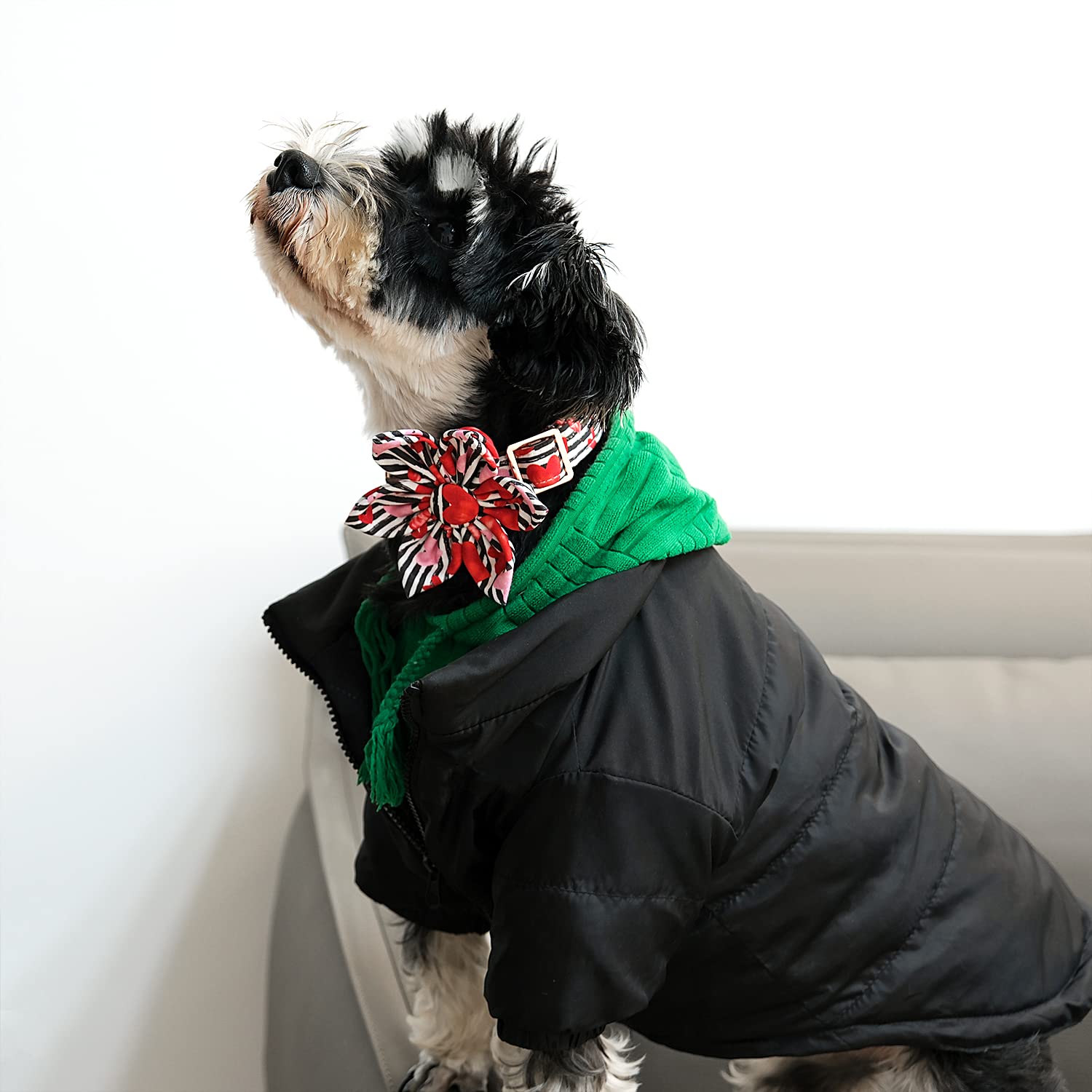 Lionet Paws Valentines Day Dog Collar With Flower, Dog Flower Collar With Metal Buckle For Dogs, Adjustable Comfortable Dog Coll