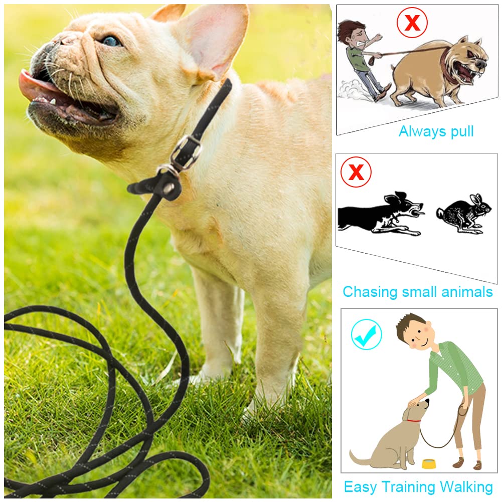 BTINESFUL Anti-Choke Slip Lead Dog Leash, Reflective Nylon 10FT, Black for Small Medium Dogs