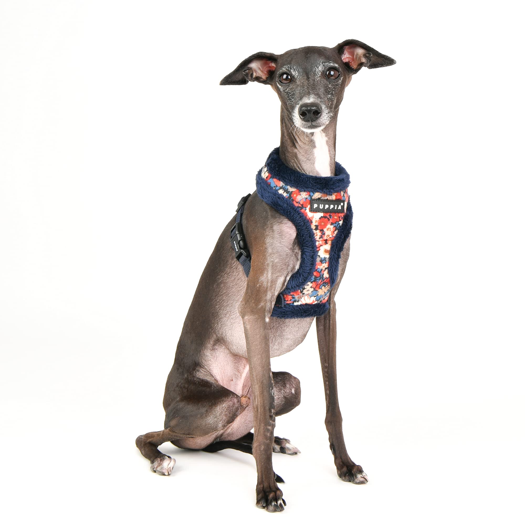 Puppia Gianni Dog Harness Over-The-Head Warm Winter Flower Pattern Adjustable Chest For Small And Medium Dog, Navy, Small