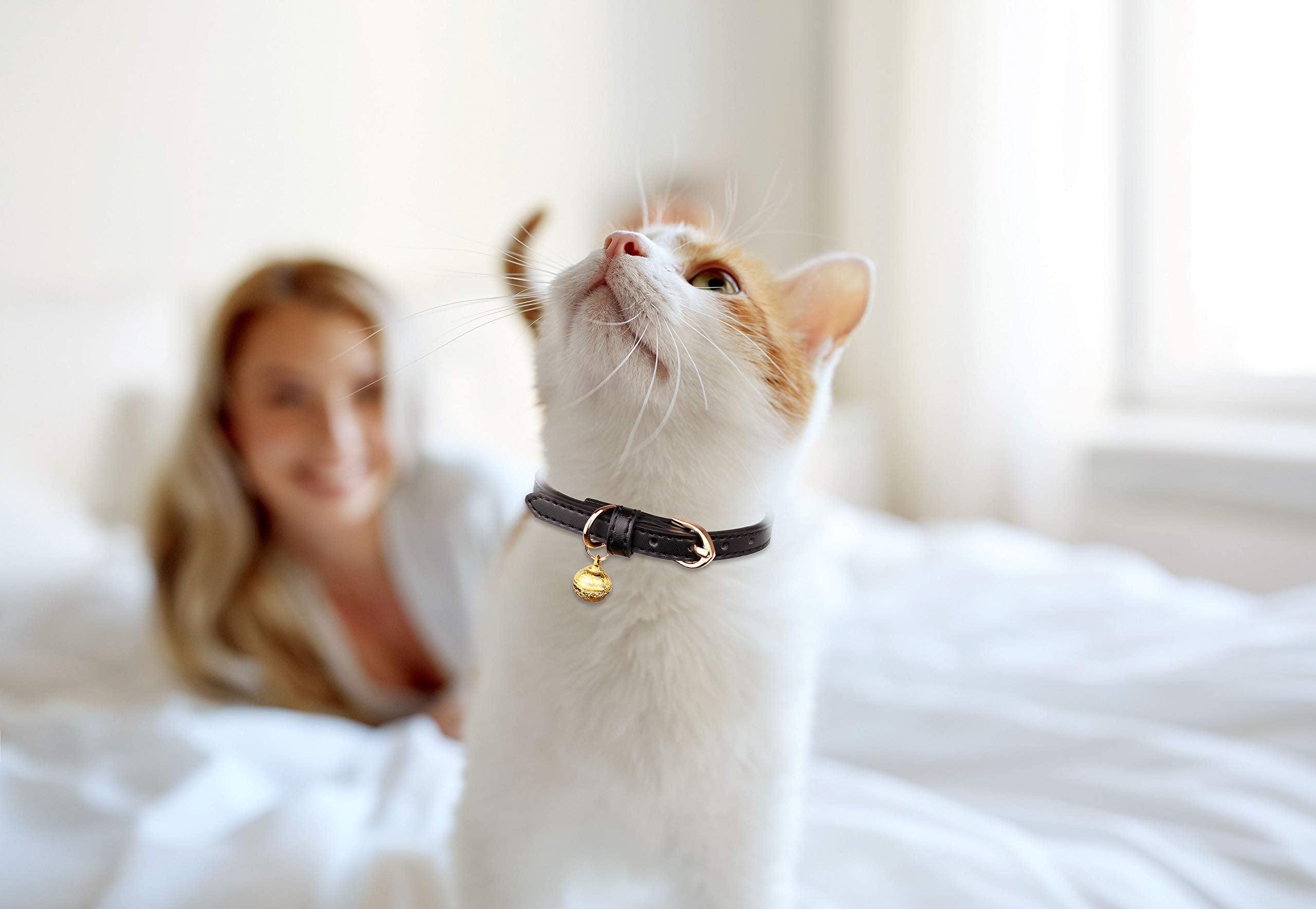 Jamktepat 3 Pack Leather Cat Collars With Bells Soft Pet Safety Collar Kitten Collars With Bell Black Chocolate Beige(Xs)