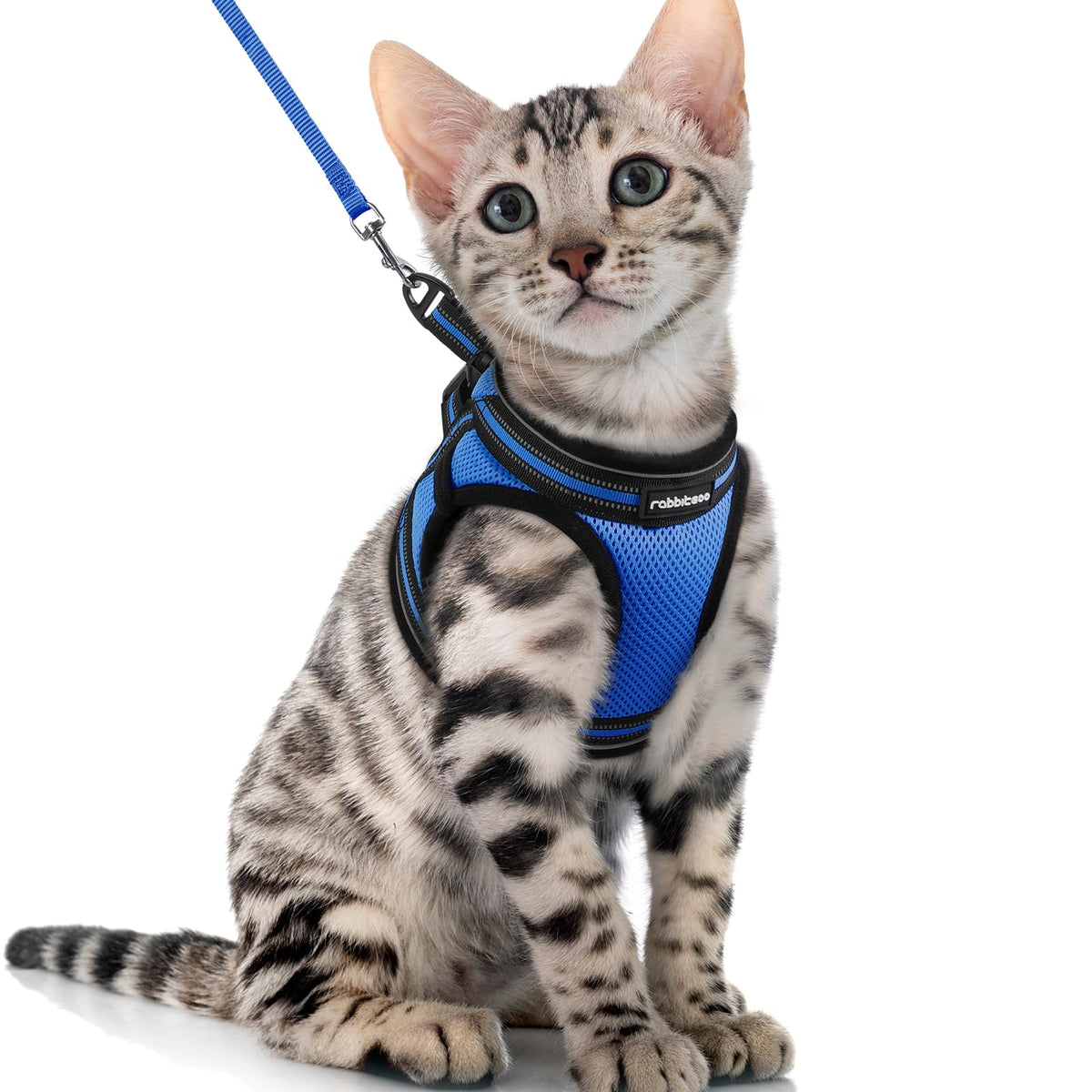 Rabbitgoo Cat Harness And Leash Set For Walking Escape Proof, Adjustable Soft Kittens Vest With Reflective Strip For Cats, Comfortable Outdoor Vest, Blue, Xl