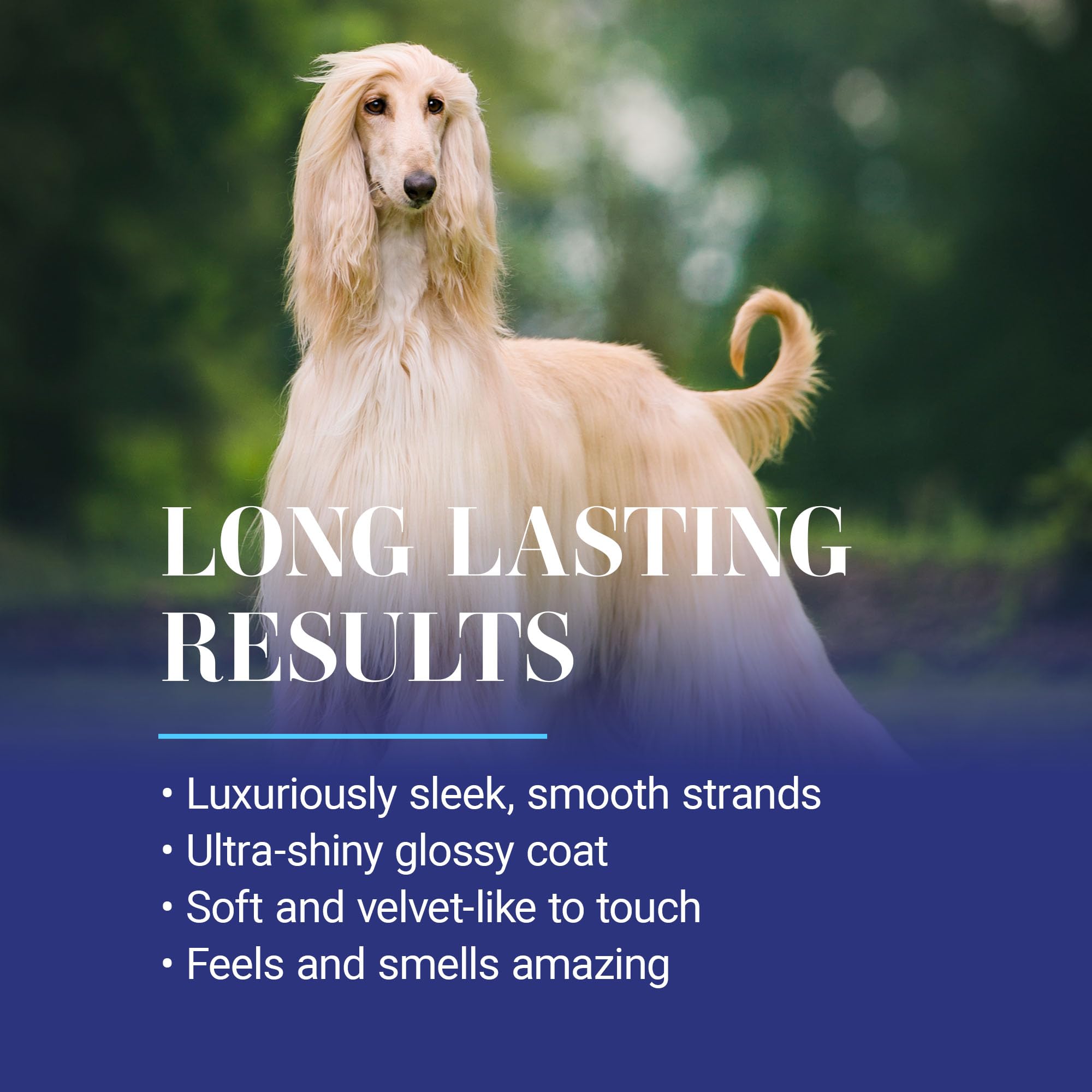 Chris Christensen Ice On Ice Detangling Dog Conditioner, Groom Like A Professional, Dematts, Moisturizes, Creates Long Lasting S