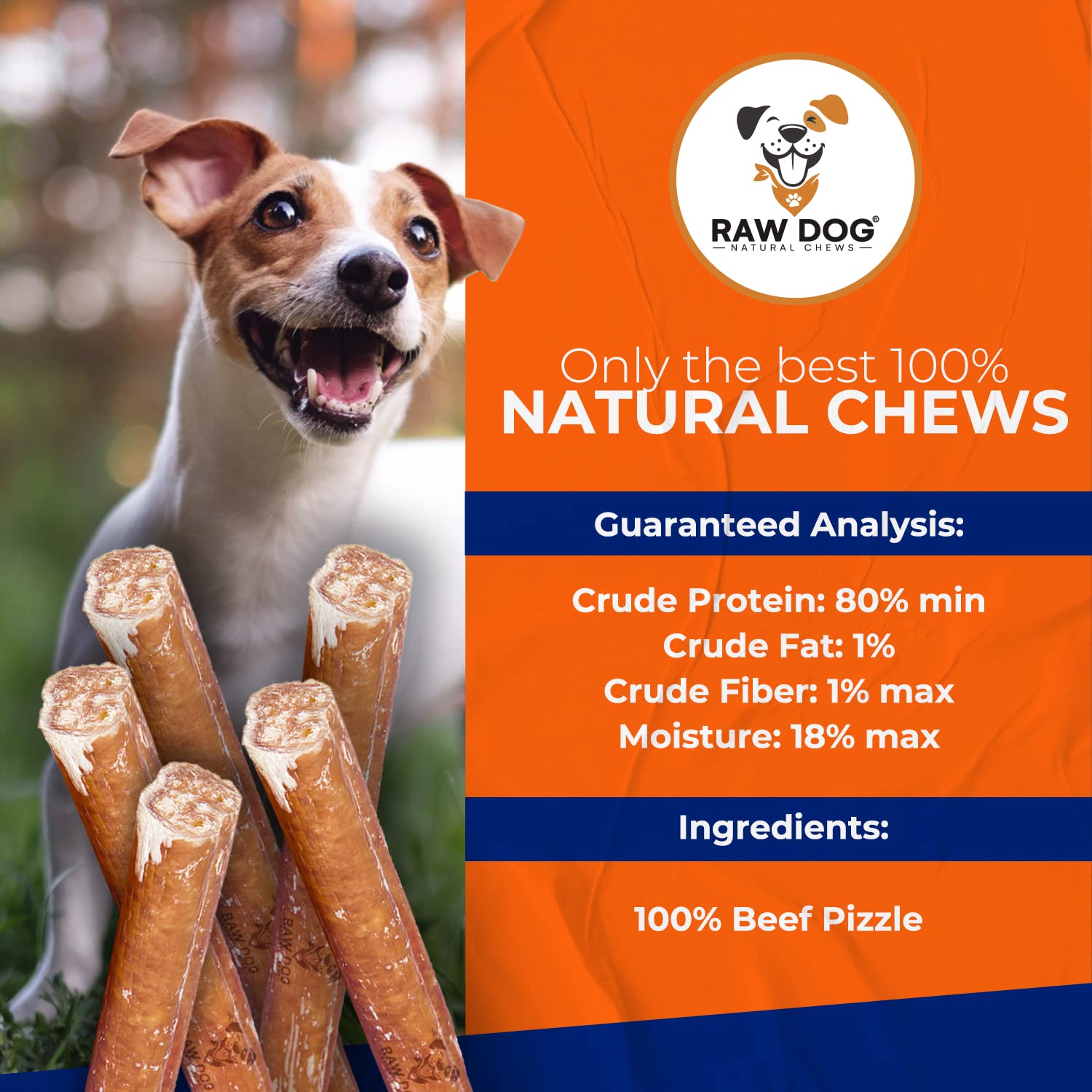 Raw Dog Bully Sticks All-Natural Dog Treats,12 in Regular Size, 3pk - Premium Odor Free Dog Chews, 100% Beef, Grass Fed, Non-GMO
