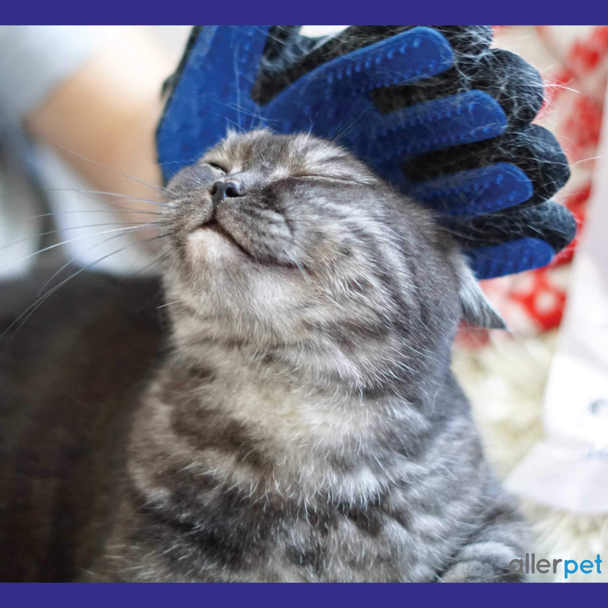 Allerpet Cat Dander Remover W/Free Pair Of Grooming Gloves And Mitt - Effective Cat Dander Reduction, Anti Allergen Solution Made In Usa - (12Oz)