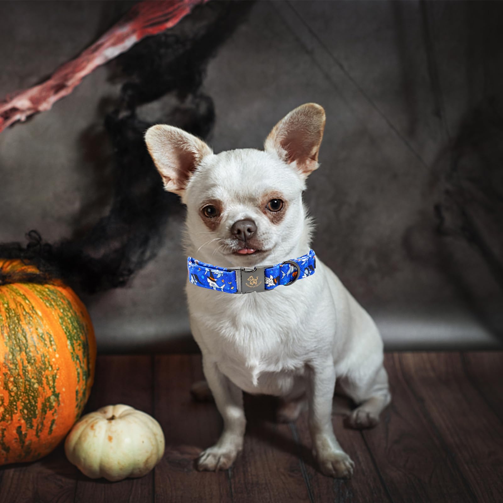 Elegant Little Tail Shark Print Halloween Puppy Collar - Cotton With Metal Buckle, Adjustable For X-Small Dogs