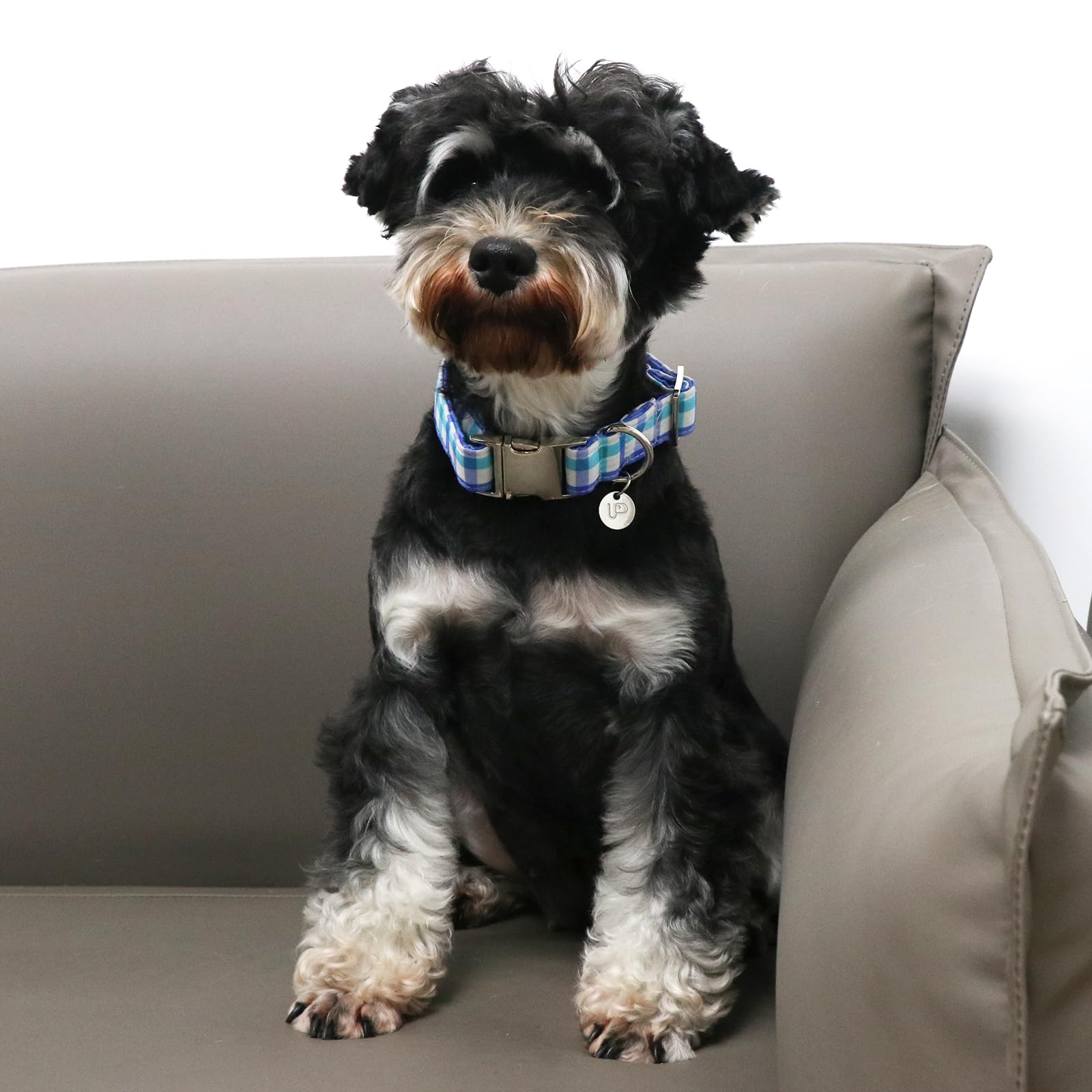 Up Urara Pup Blue Plaid Summer Cotton Dog Collar With Metal Buckle Gift Collar For Small Medium Large Girls Or Boys Dogs Cute Du