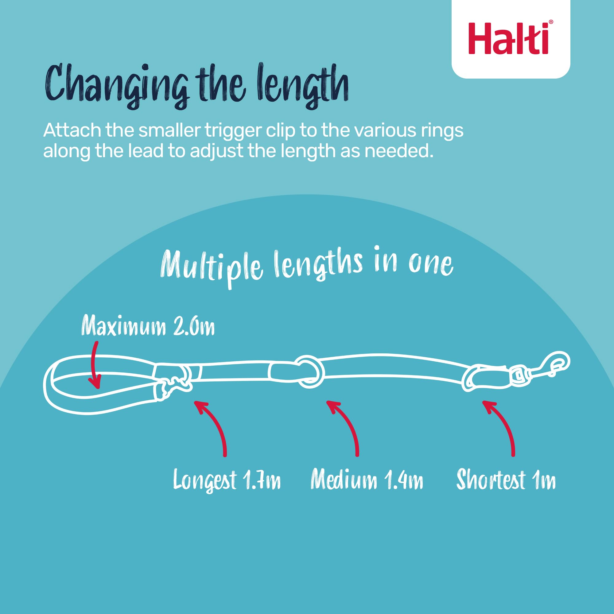 HALTI Headcollar Size 4, Black & HALTI Training Leash Size Large, Black Combination Pack - Stop Your Dog Pulling on the Leash. A