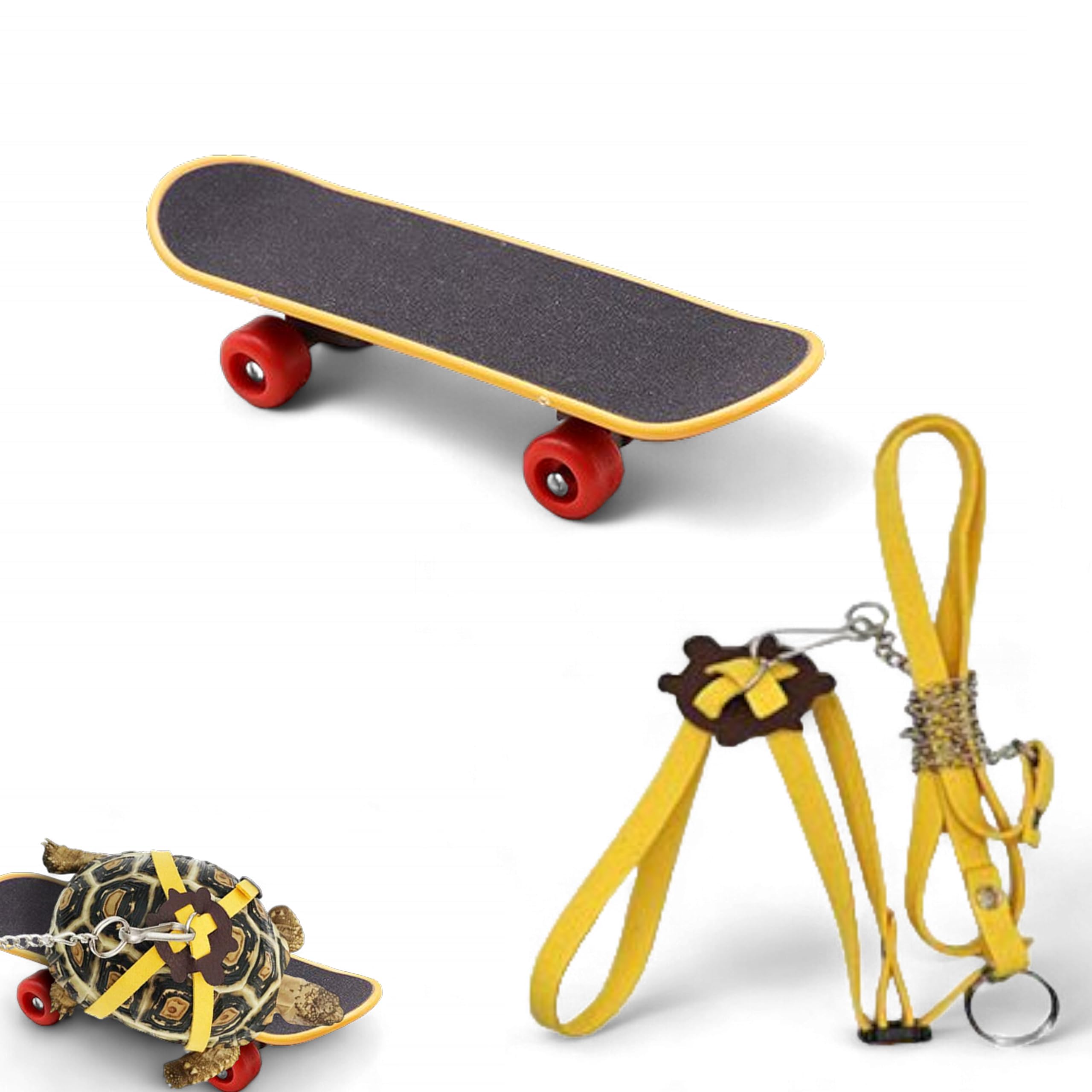 Adjustable Tortoise Leash and Funny Skateboard Set, Training Harness and Mini Skateboard for Turtle Dragon Bearded Lizard Small 