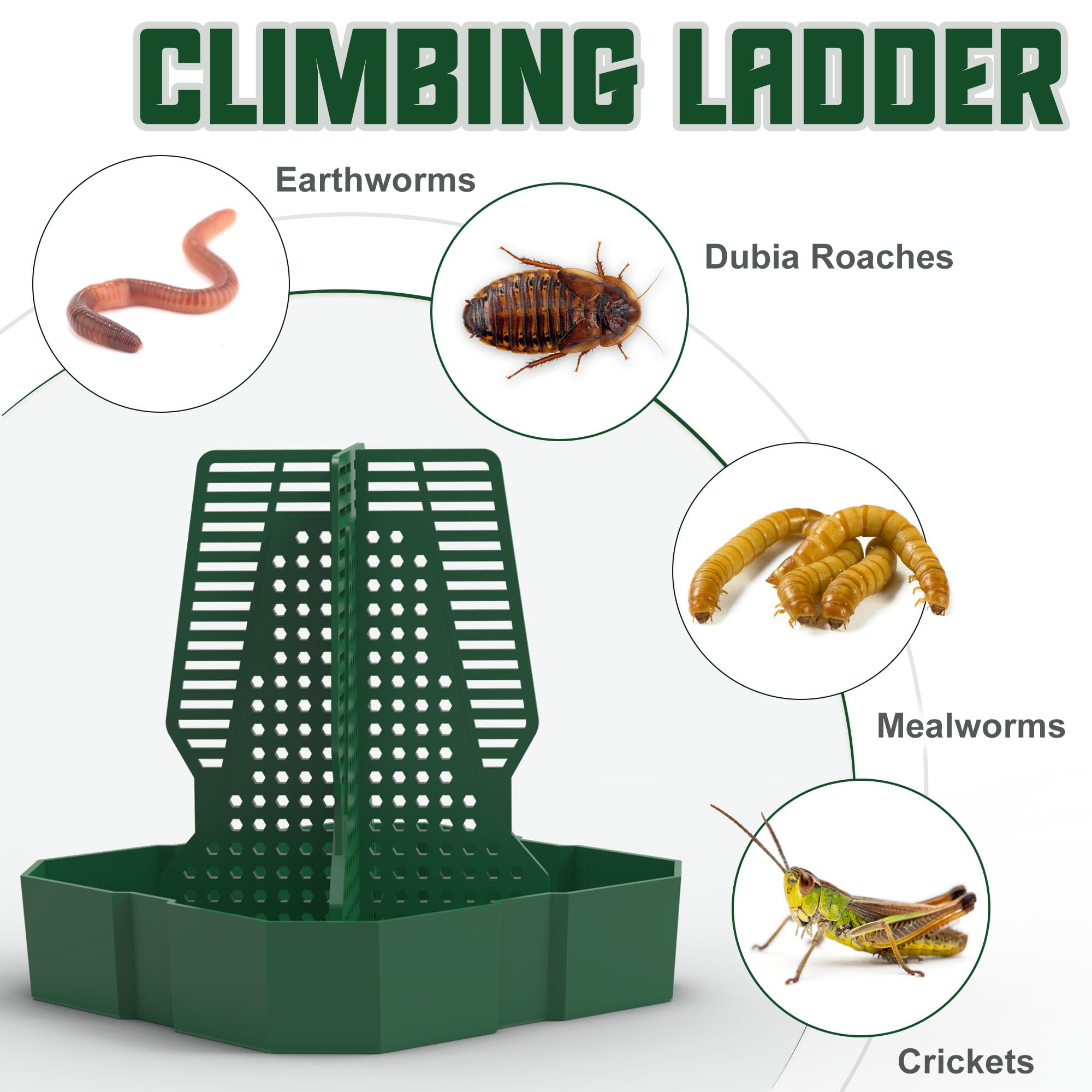 Fischuel Chameleon Feeding Bowl For Reptile Terrarium, Climbable Design For Reptile To Hunt, Suitable For Feeding Lizards, Beard