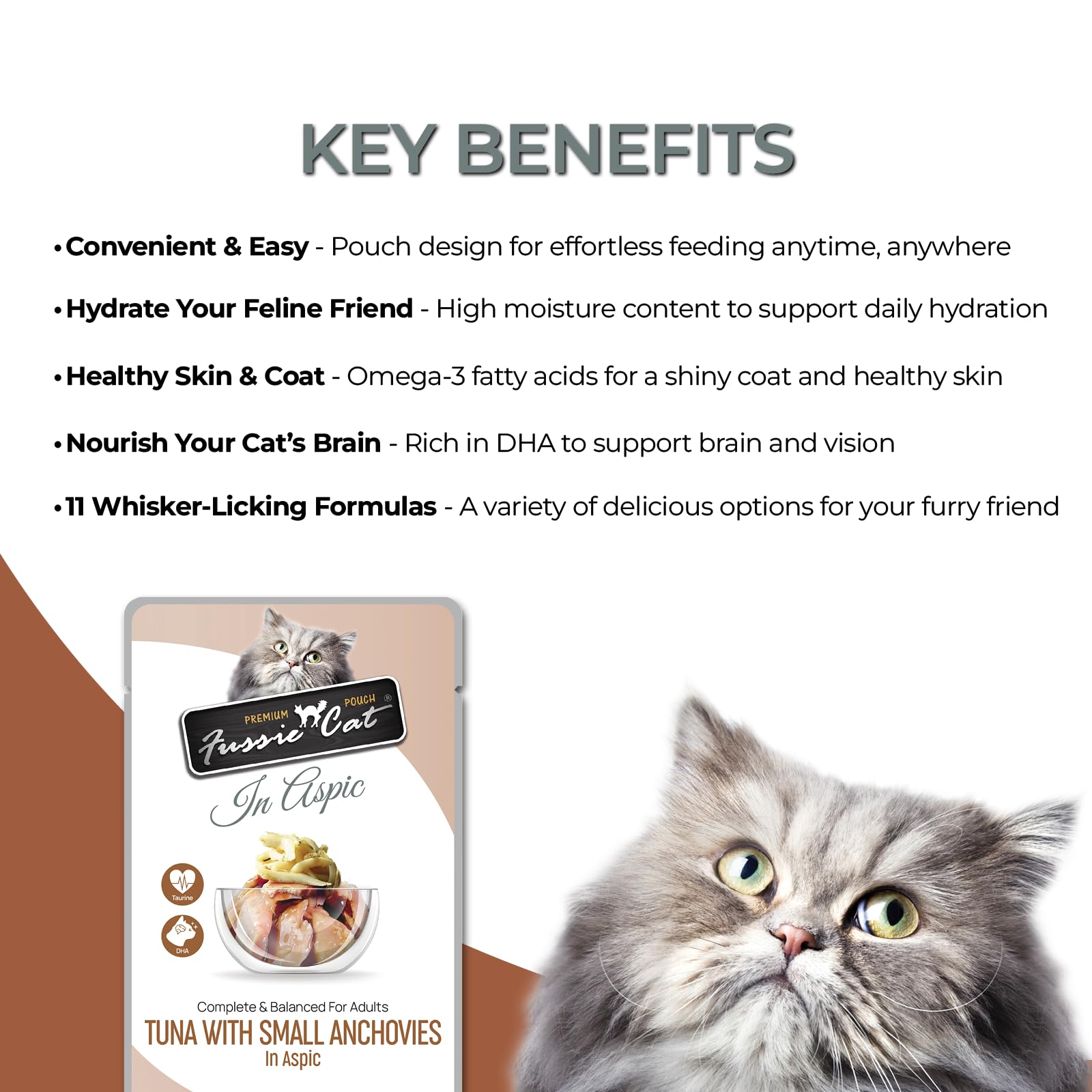 Fussie Cat Premium Tuna w/Small Anchovies 12 Count(Pack of 1)