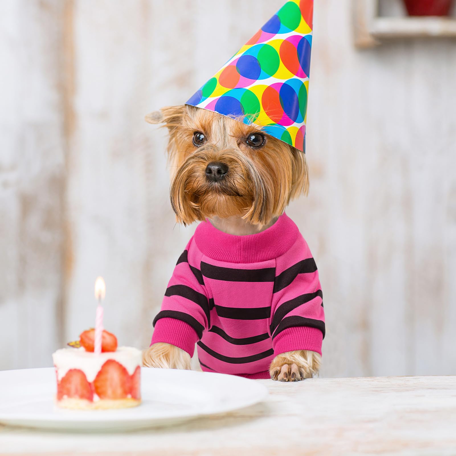 Queenmore Dog Cotton Shirt, Striped Dog T-Shirt, Long Sleeve Puppy Clothes For Small Medium Dogs Cats, Dog Outfits For Frenchie,