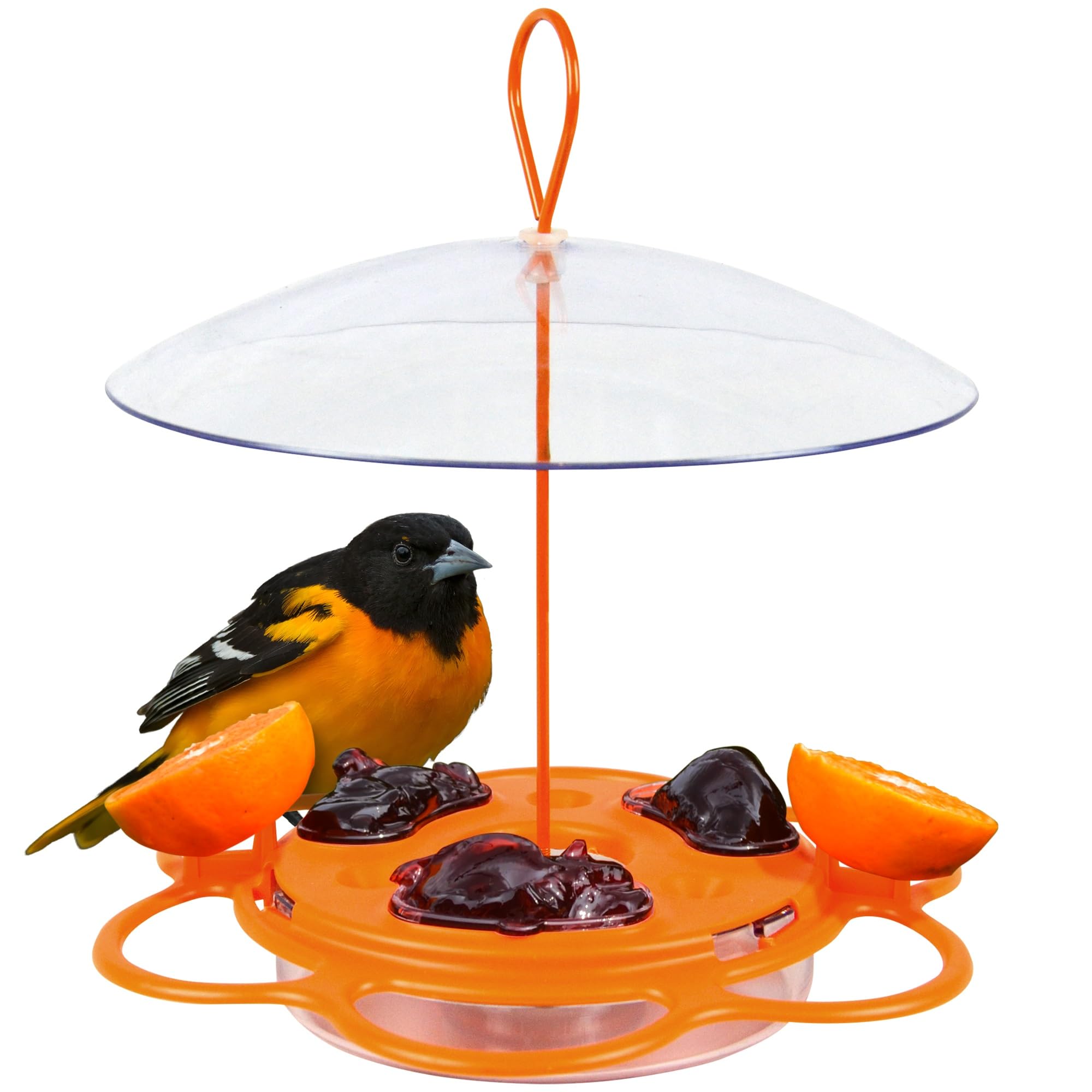 Natures Way OFP1 All-in-One Oriole Buffet Bird Feeder, Orange