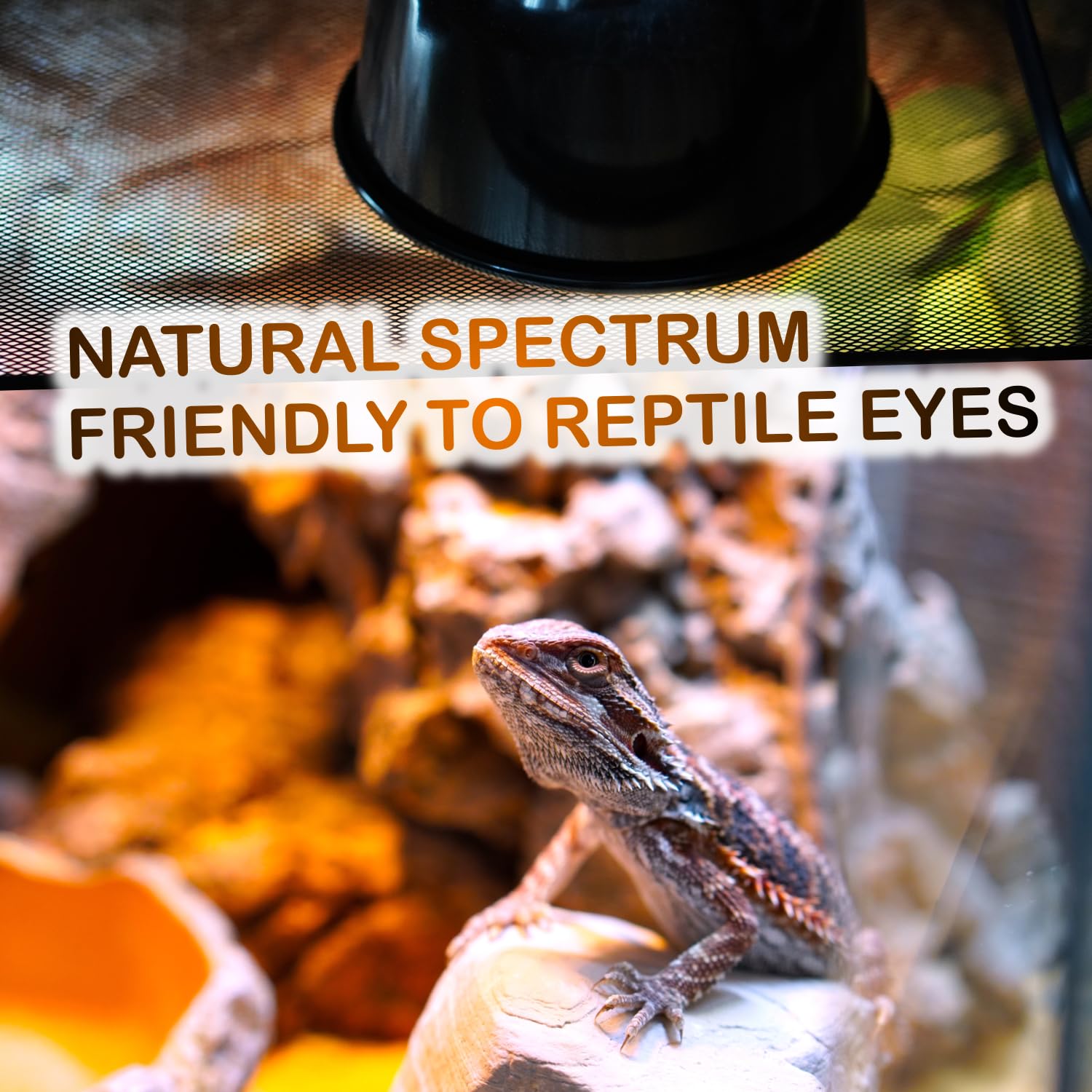 Reptiking Reptile Heat Lamp Bulbs, 2-Pack 75W Daylight Basking Spot, 2024 G3, Bearded Dragon/Turtle/Lzard/Gecko Light Bulb, Uva