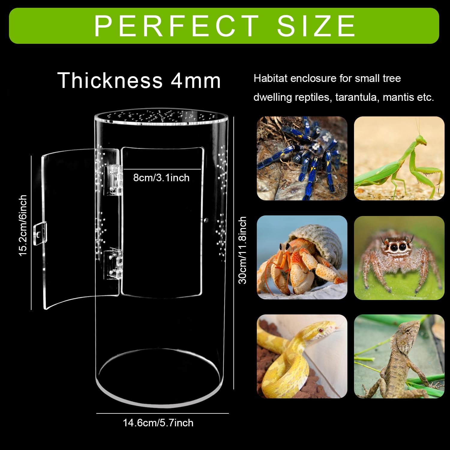 Naneezoo Acrylic Tarantula Enclosure Jumping Spider Enclosure With Front Opening Door Micro Habitat Terrarium For Small Tree Dwe