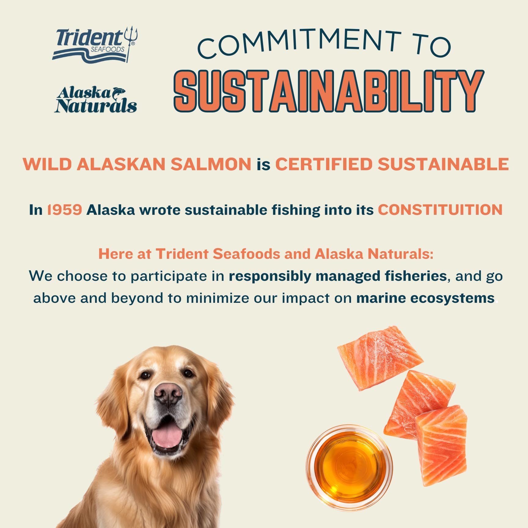 Alaska Naturals Wild Alaskan Salmon Fish Oil Supplement for Dogs, 32 oz, EPA DHA Omega 3 Liquid Food Topper