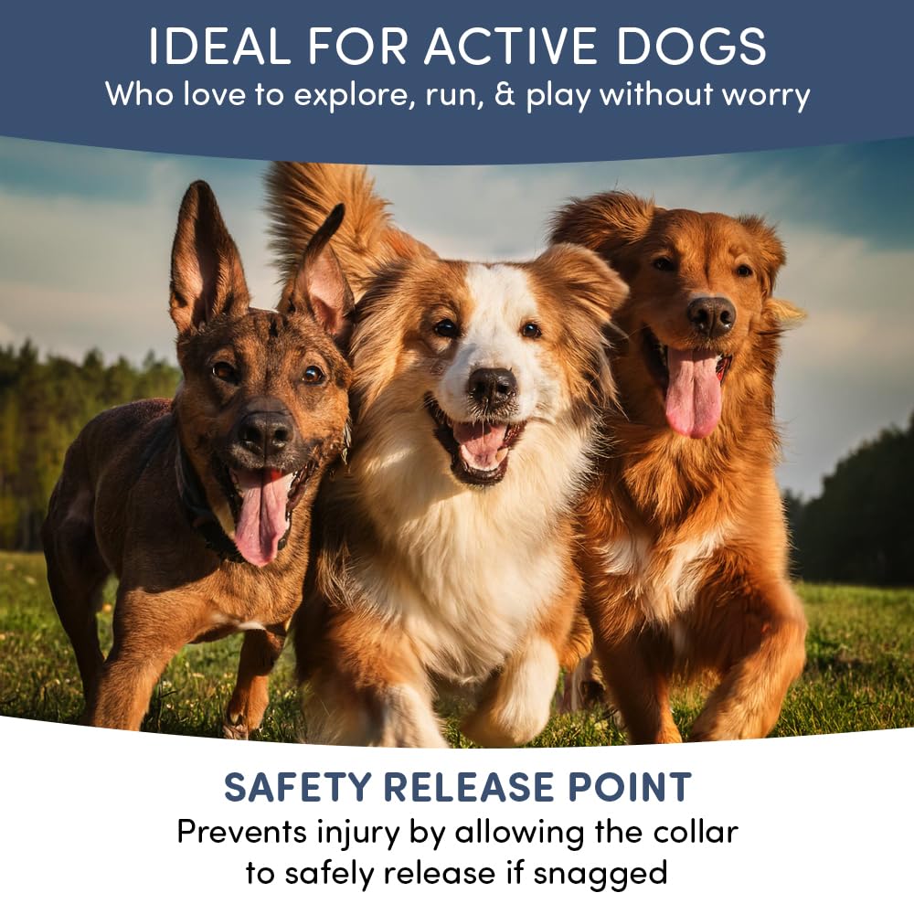 Organic Flea And Tick Collar For Dogs And Cats-2 Pack-Each Lasts 8-Months Using Natural Plant-Based Oils - Waterproof-Safe For P