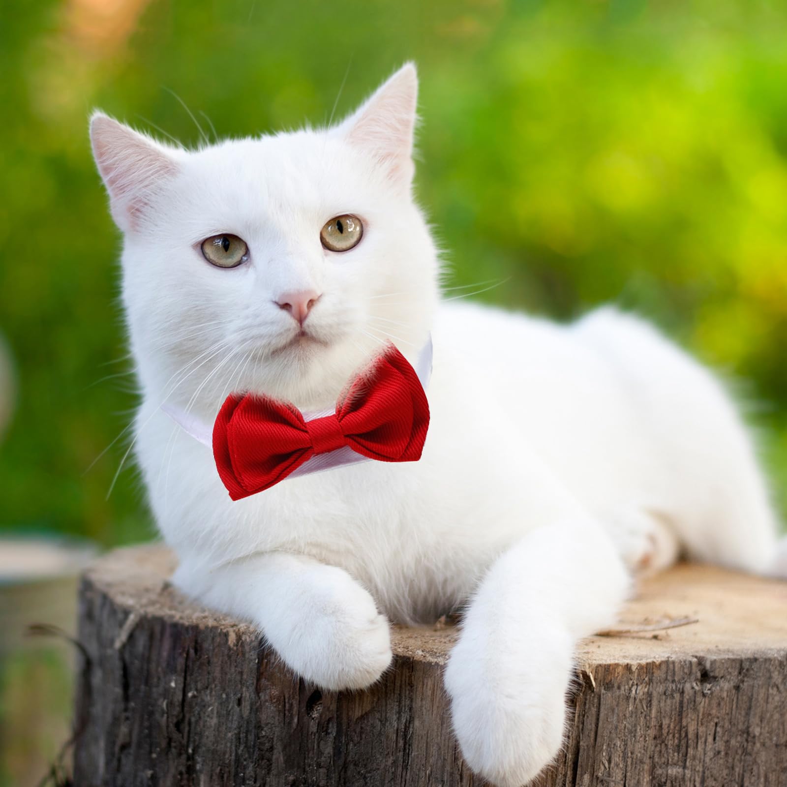 4 Pieces Pet Bow Tie Adjustable Pet Neck Tie Costume Formal Dog Collar For Small Dogs And Cats Puppy Grooming Ties Party Accessories (S, Black, Red, Red White, Black White)